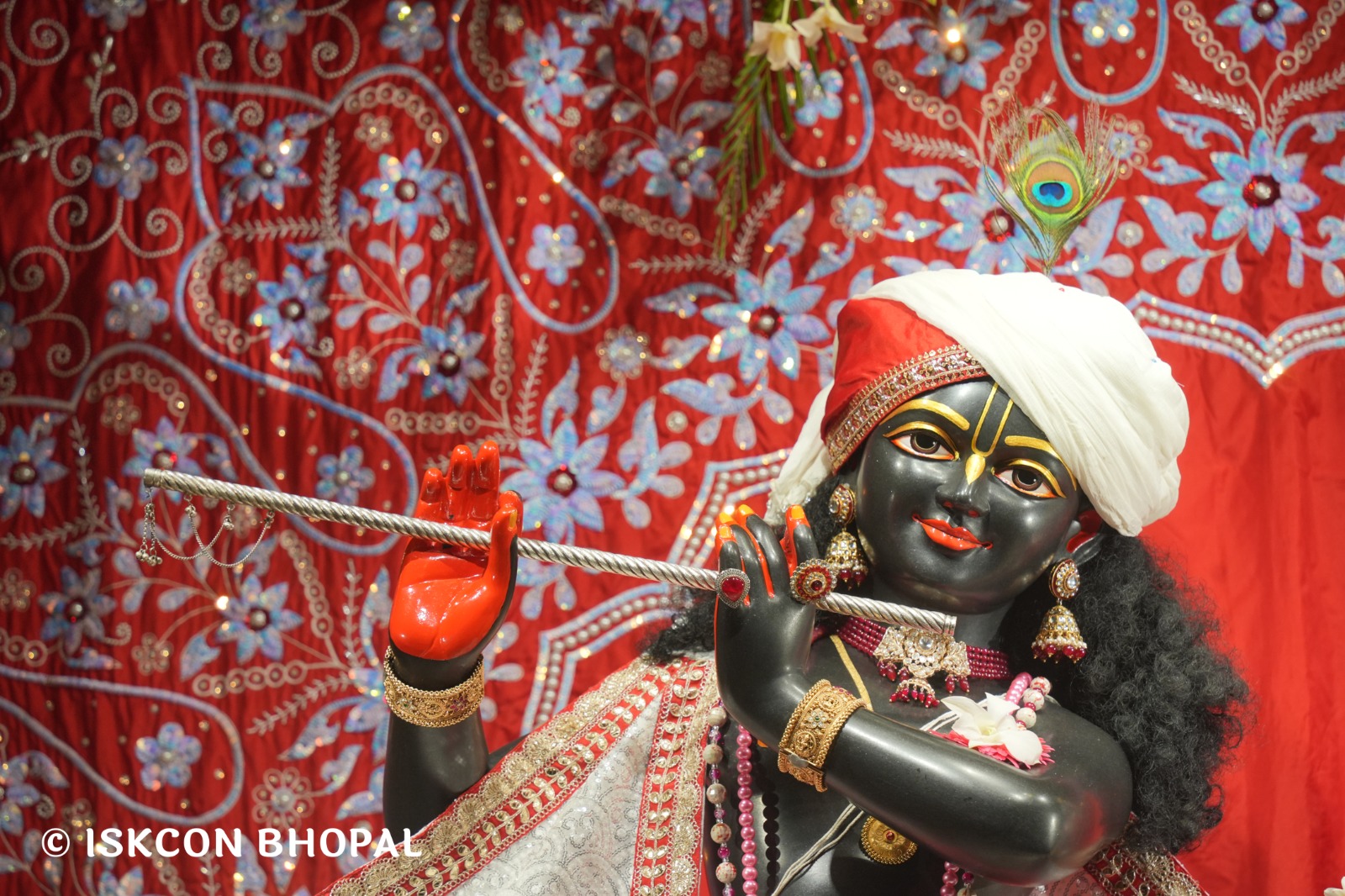 WhatsApp Image 2026-03-30 at 08.29.55