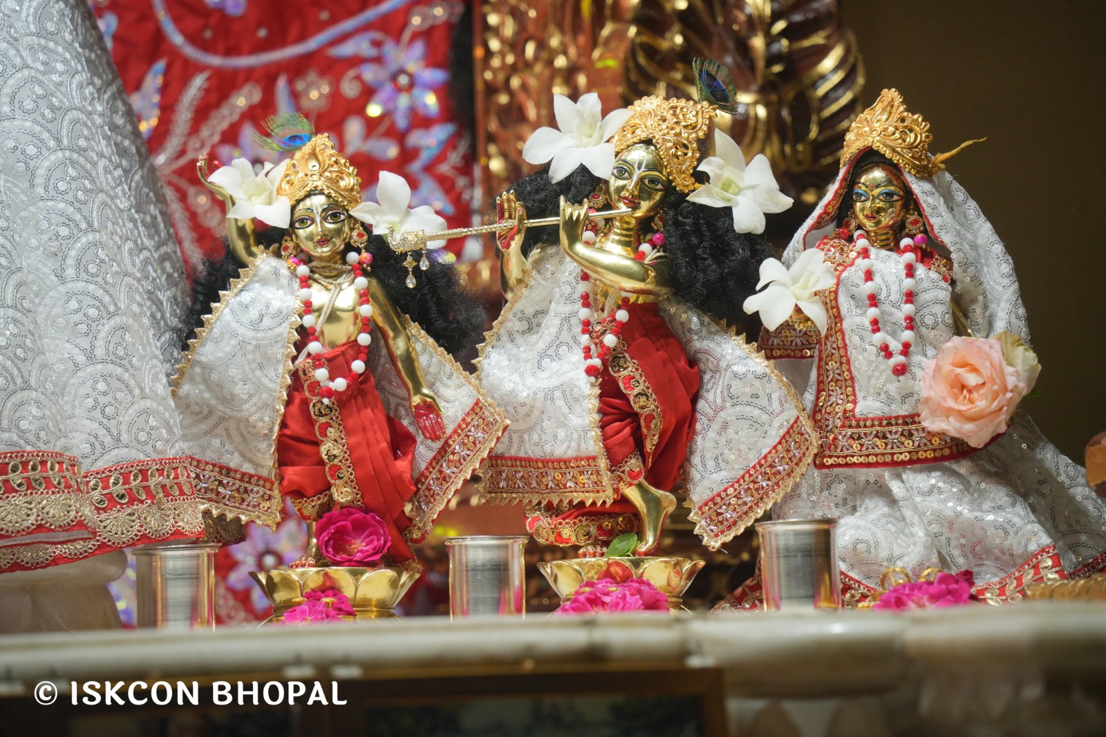 WhatsApp Image 2026-03-30 at 08.29.59