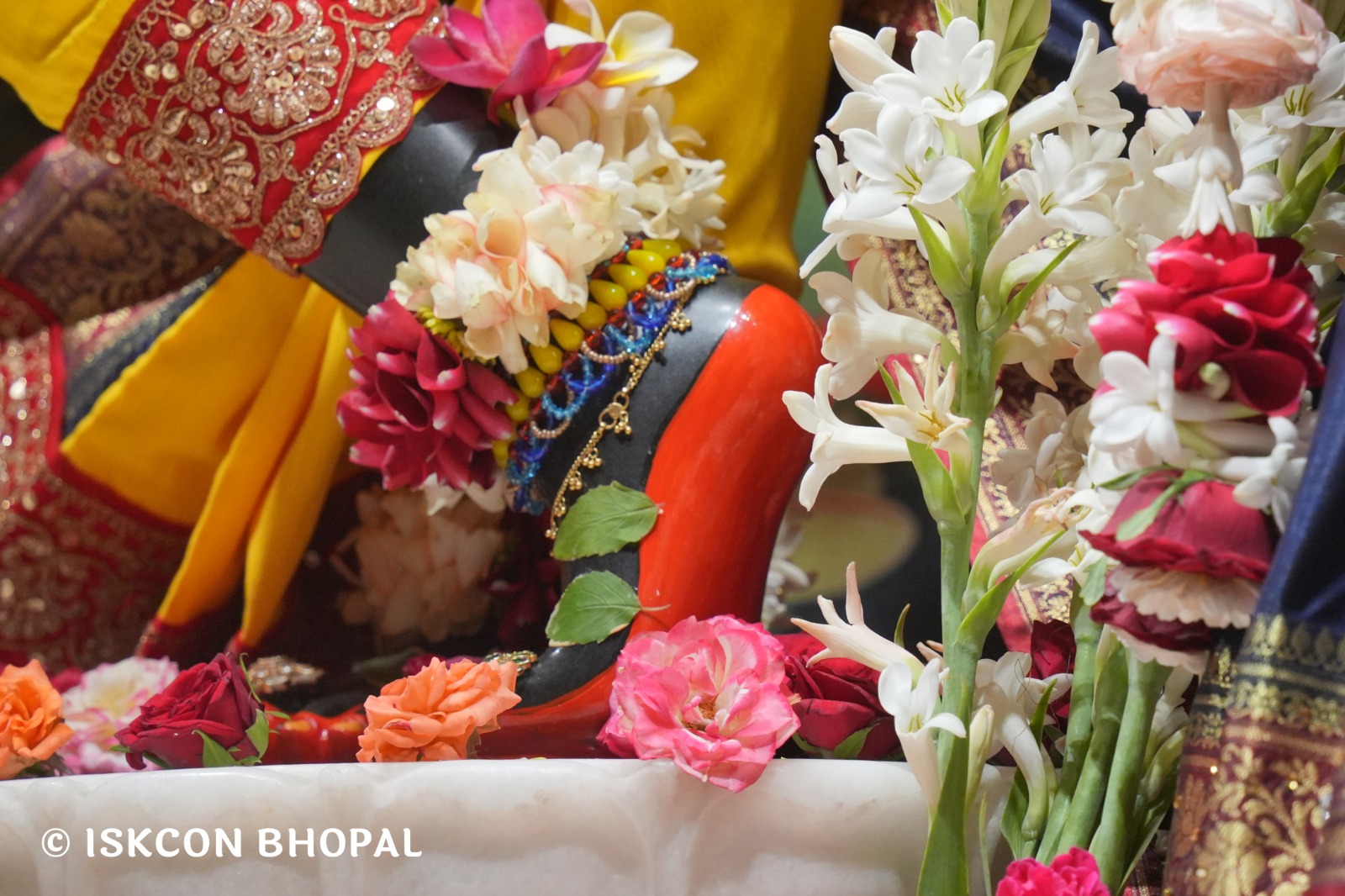 WhatsApp Image 2026-03-30 at 08.32.31