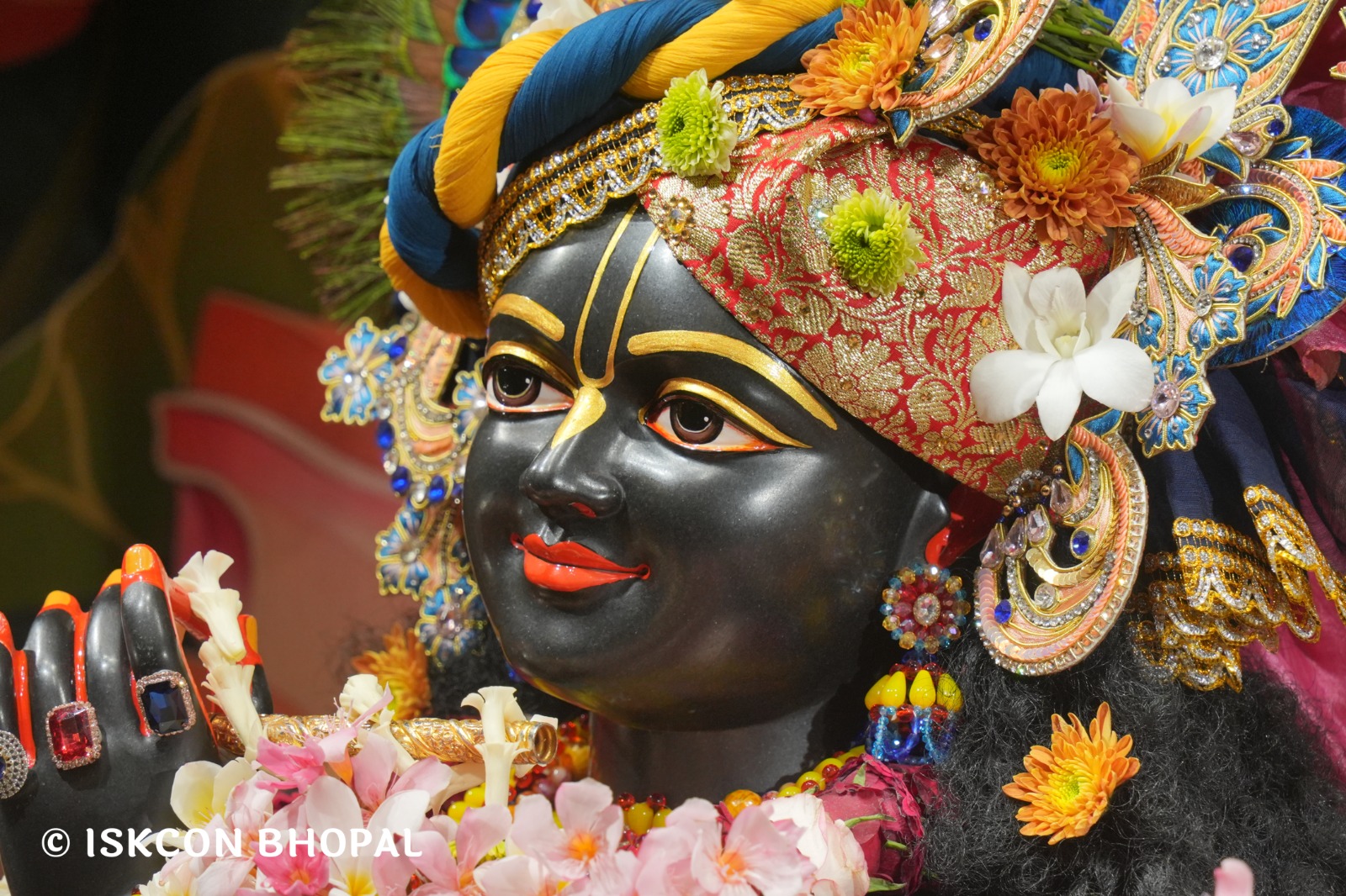 WhatsApp Image 2026-03-30 at 08.32.32