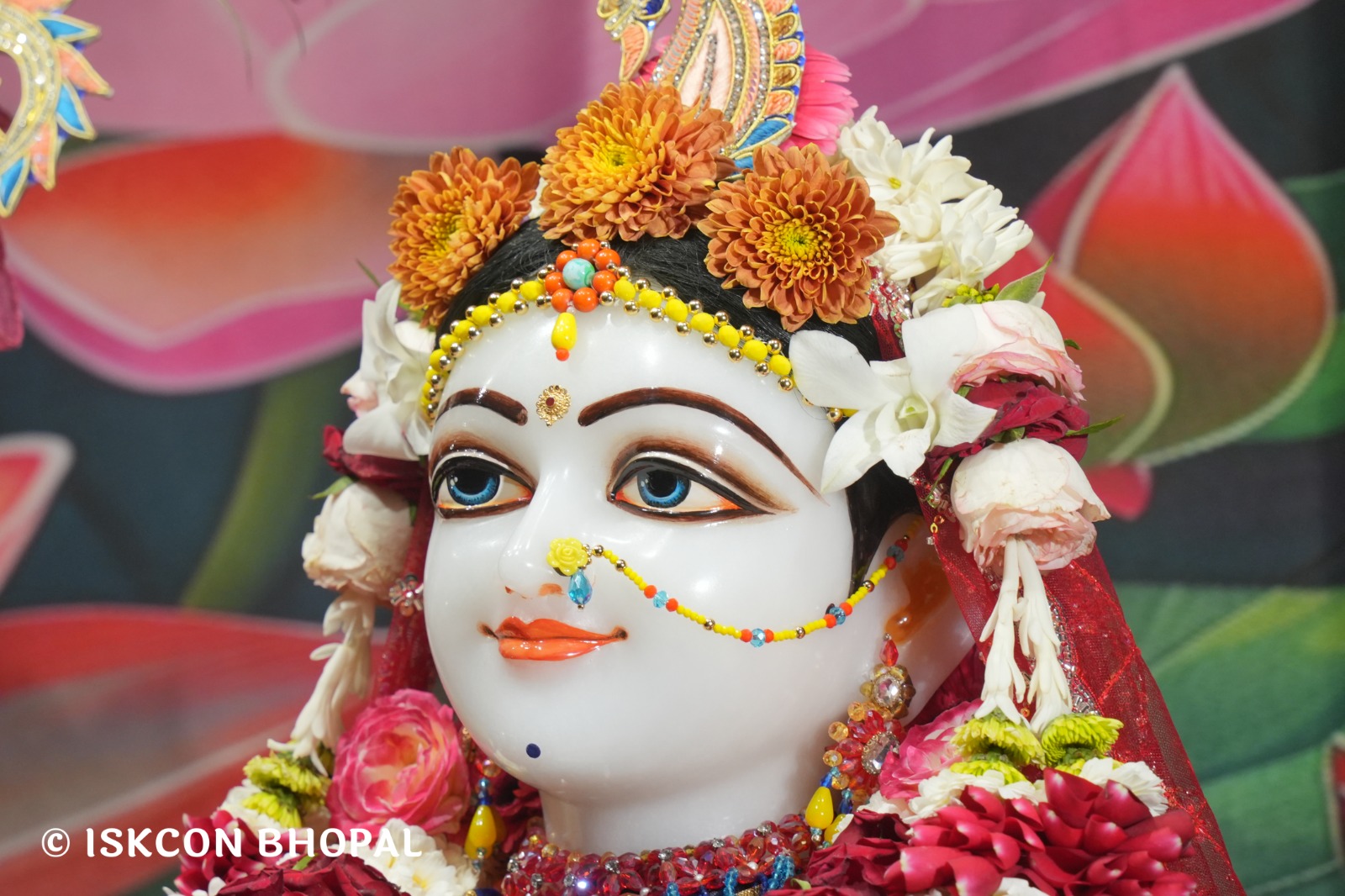 WhatsApp Image 2026-03-30 at 08.32.34