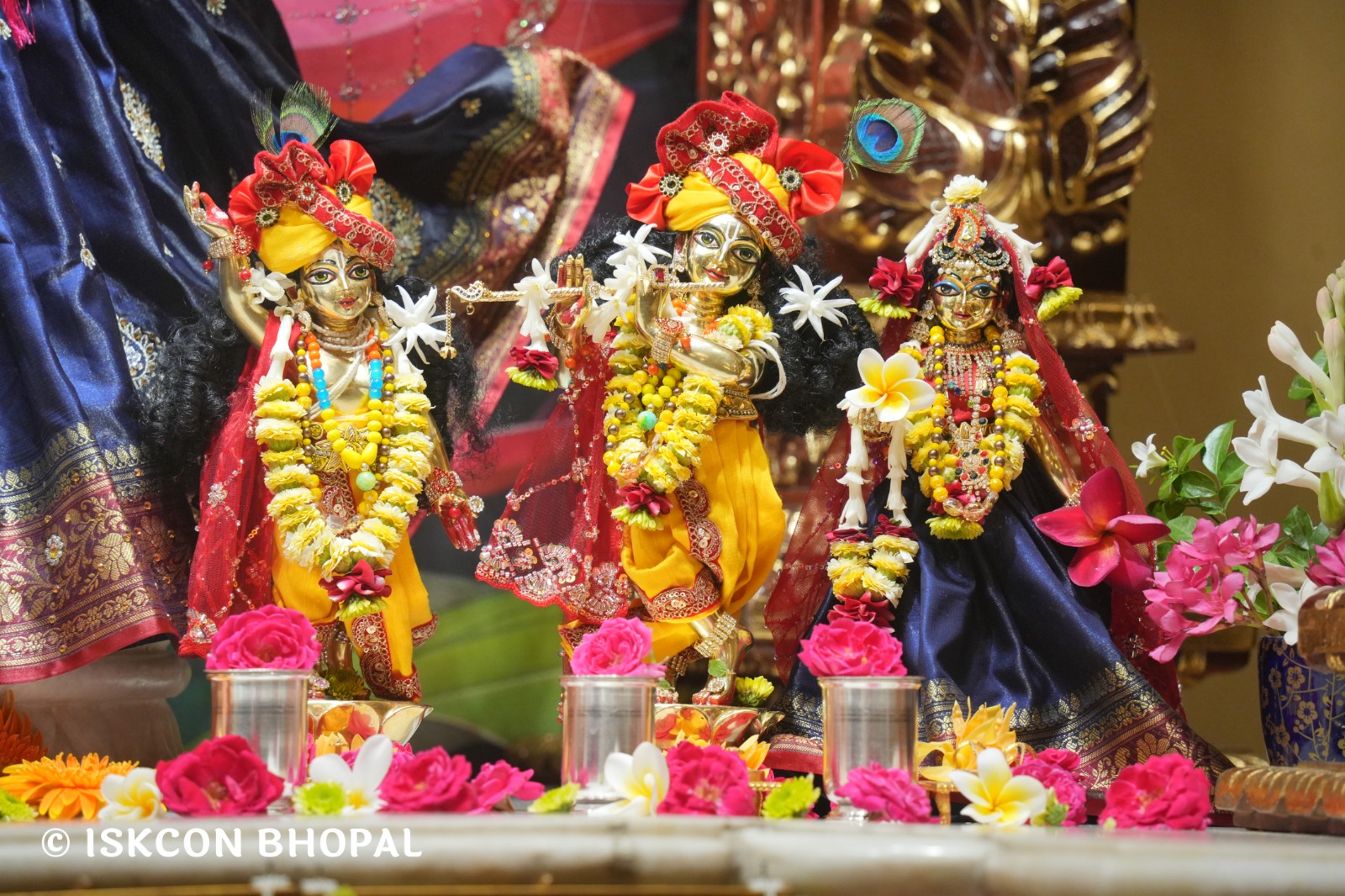 WhatsApp Image 2026-03-30 at 08.32.37