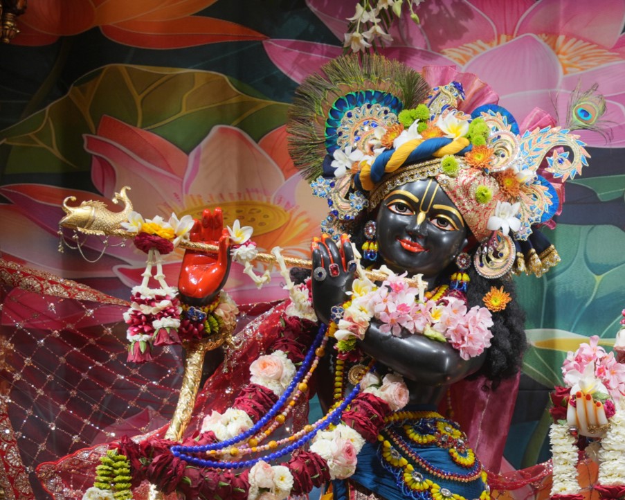 WhatsApp Image 2026-03-30 at 08.34.43