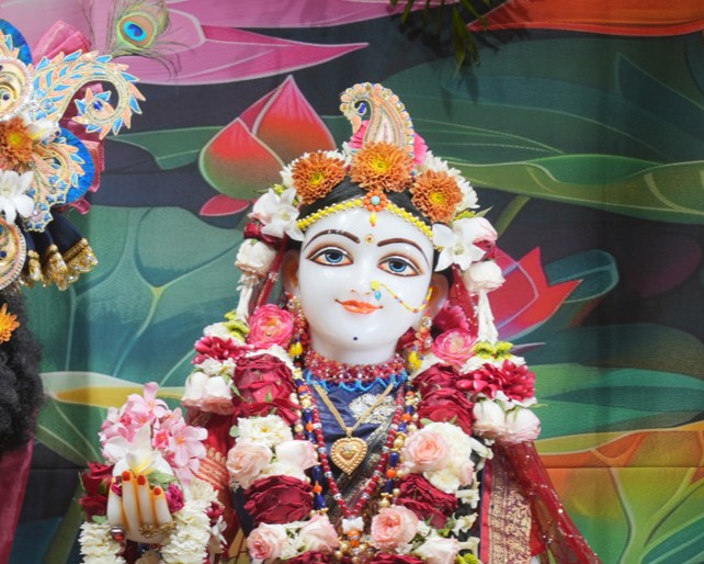 WhatsApp Image 2026-03-30 at 08.34.44