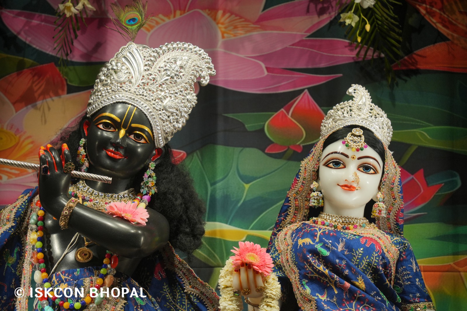 WhatsApp Image 2026-03-31 at 07.46.03