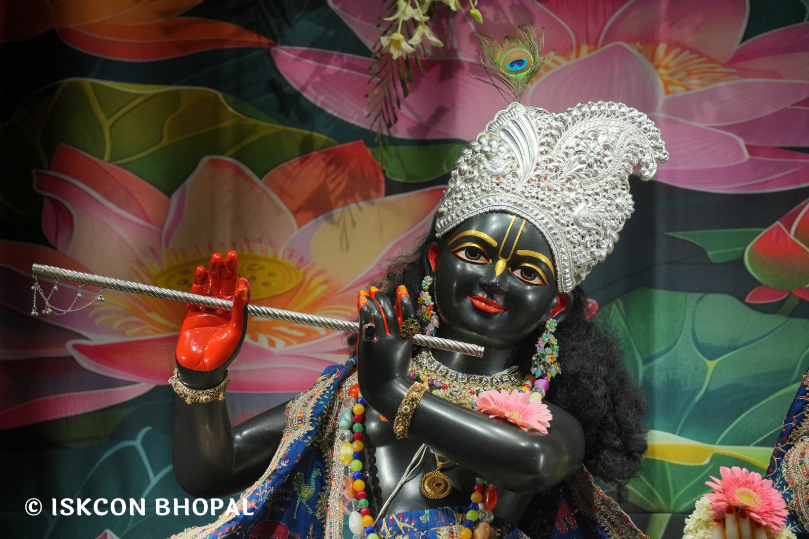 WhatsApp Image 2026-03-31 at 07.46.25