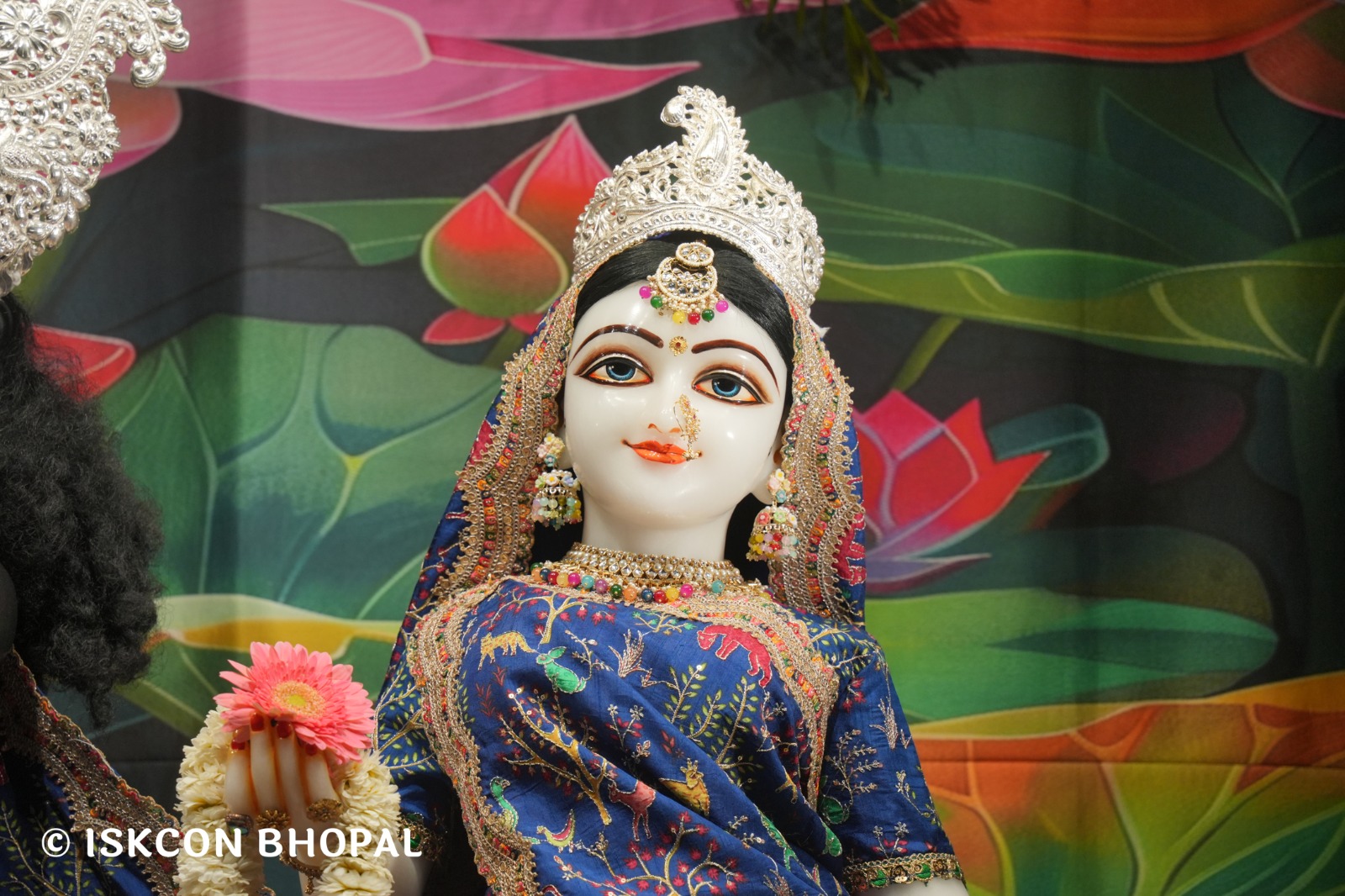 WhatsApp Image 2026-03-31 at 07.46.26