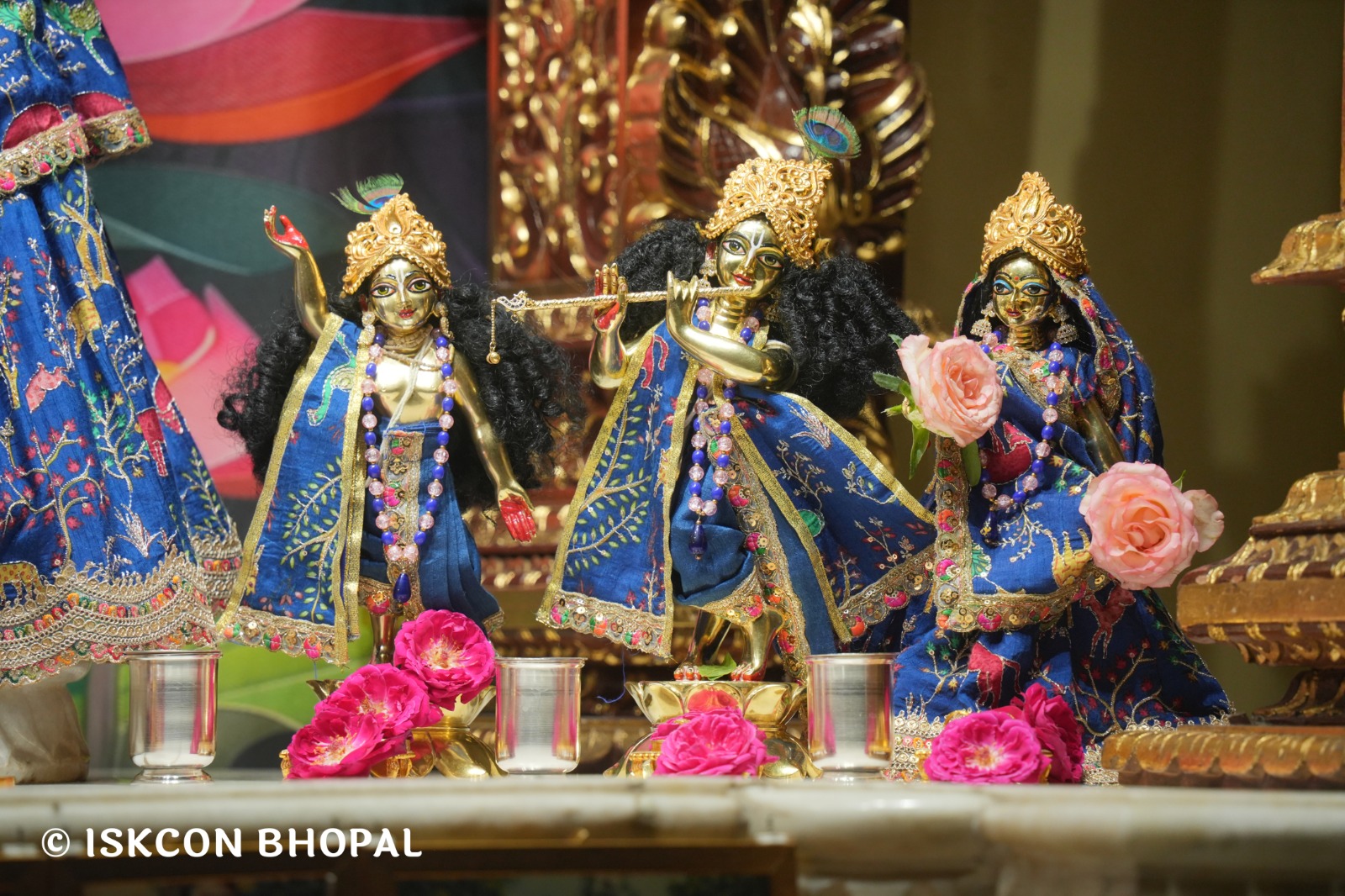 WhatsApp Image 2026-03-31 at 07.46.28