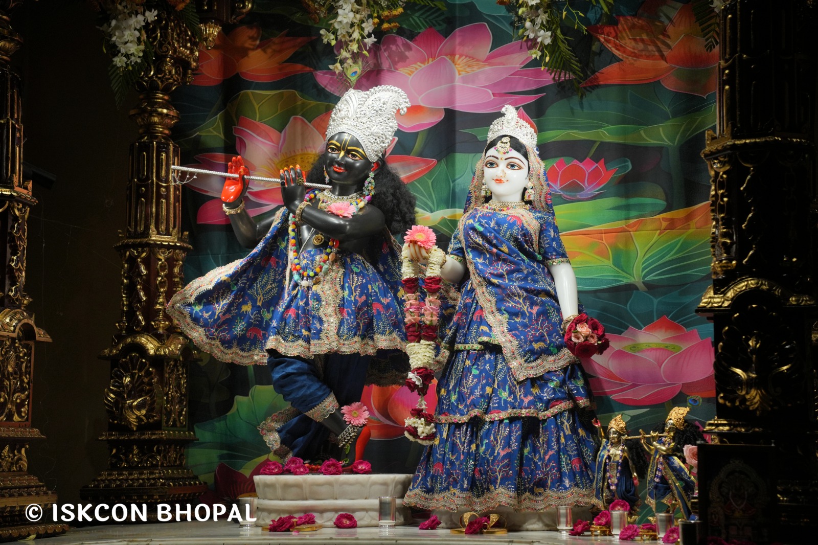 WhatsApp Image 2026-03-31 at 07.46.40