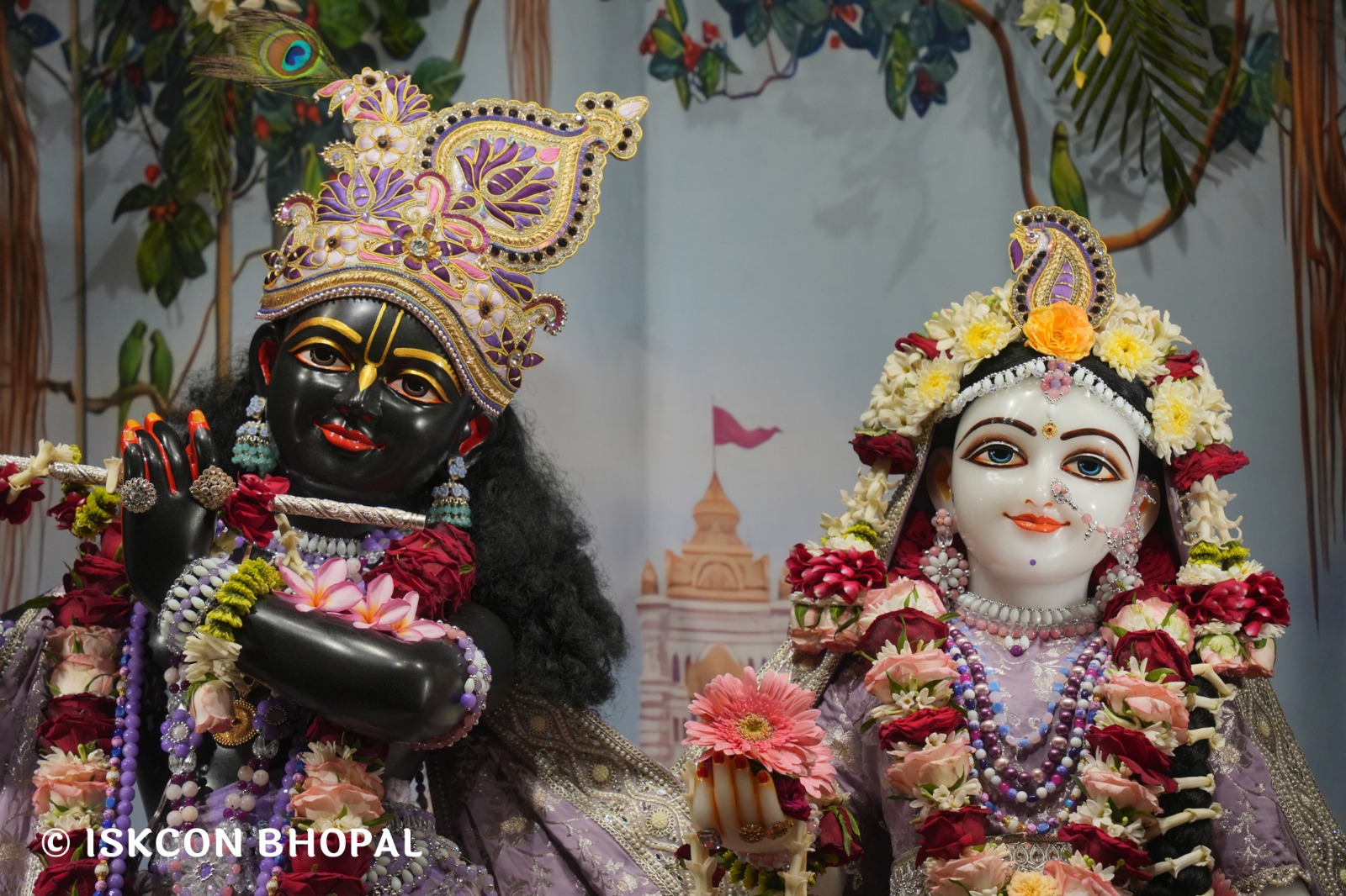 WhatsApp Image 2026-03-31 at 07.47.52