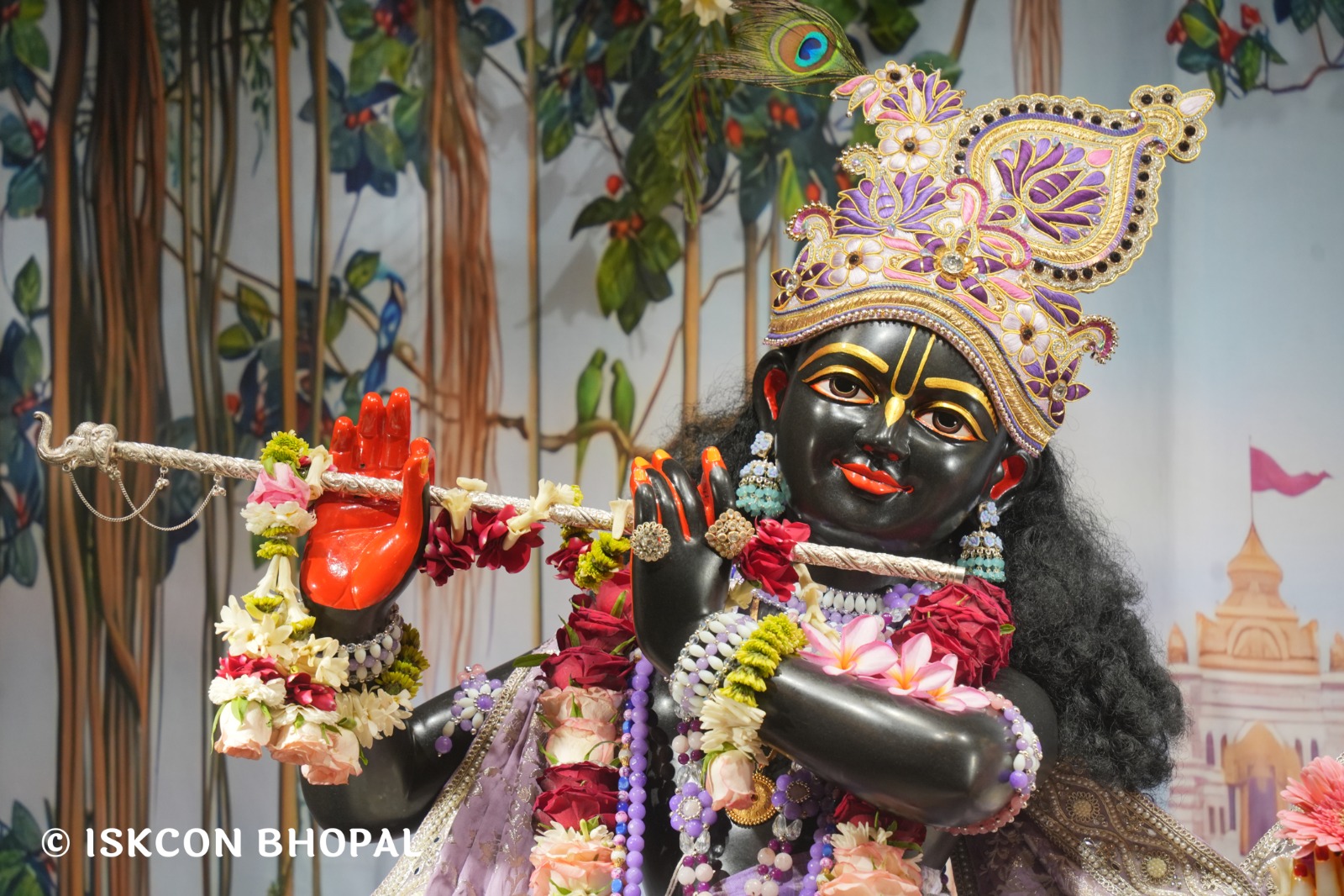 WhatsApp Image 2026-03-31 at 07.48.28