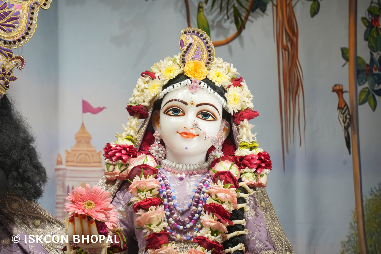 WhatsApp Image 2026-03-31 at 07.48.30