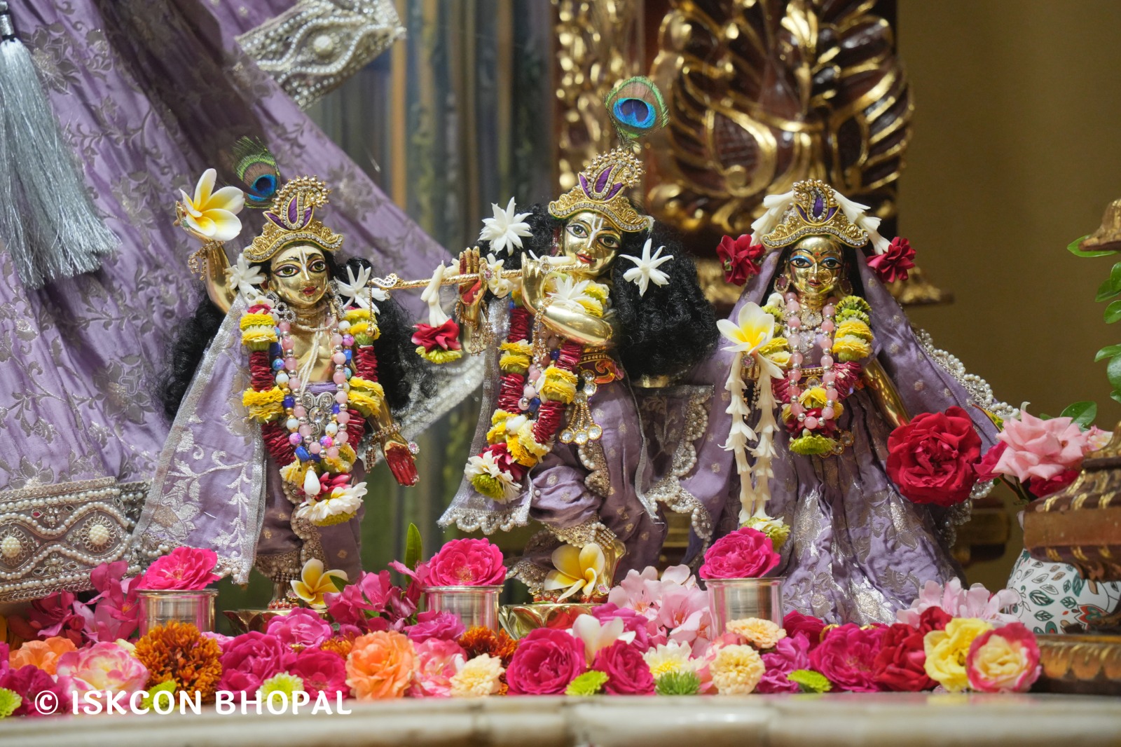 WhatsApp Image 2026-03-31 at 07.48.32