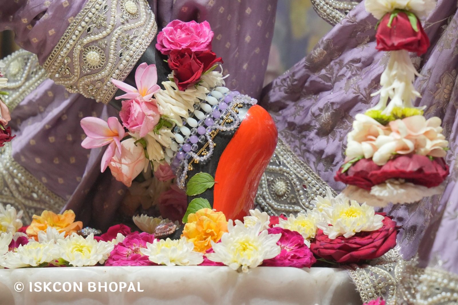 WhatsApp Image 2026-03-31 at 07.48.34