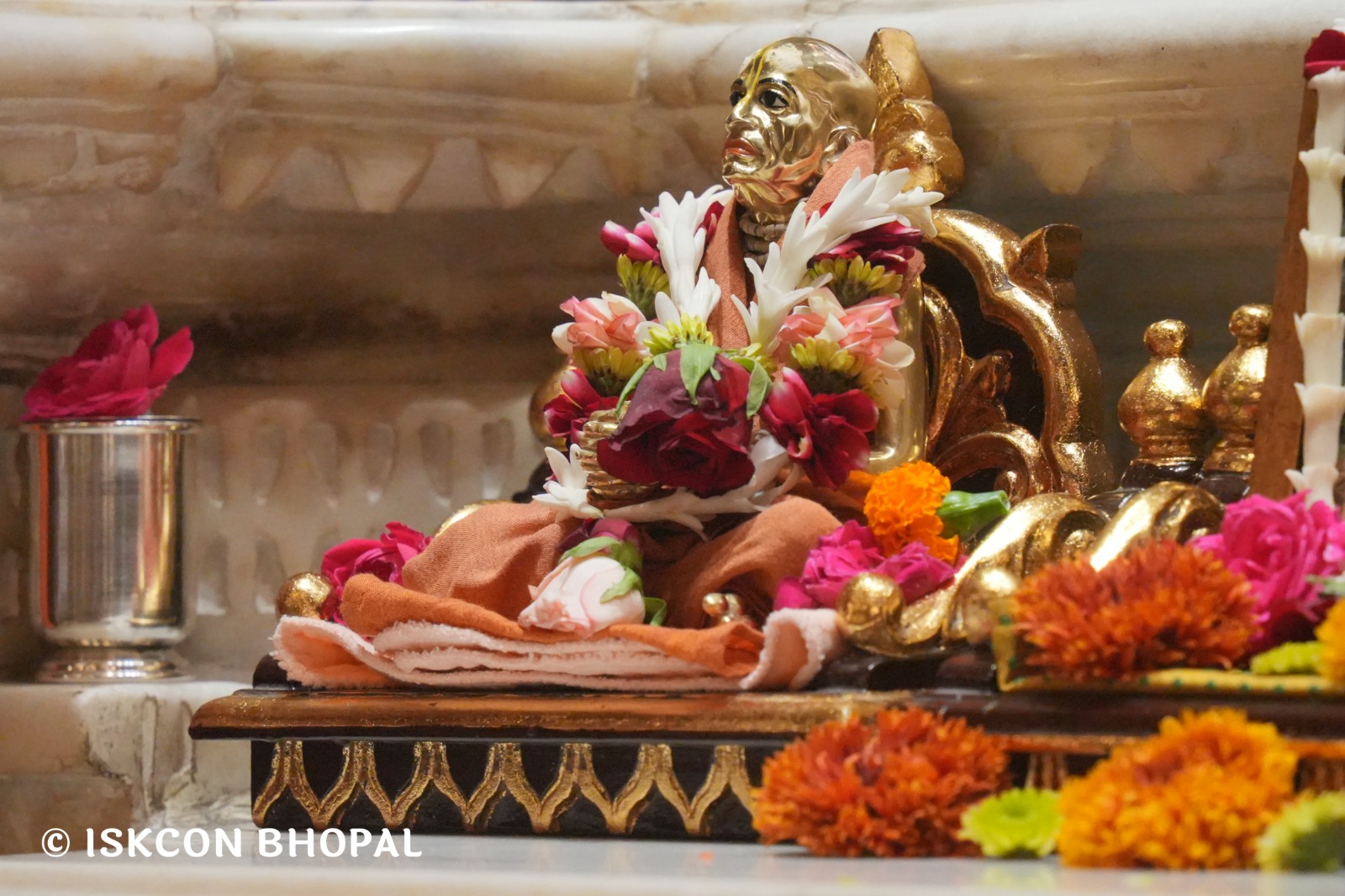 WhatsApp Image 2026-03-31 at 07.48.49