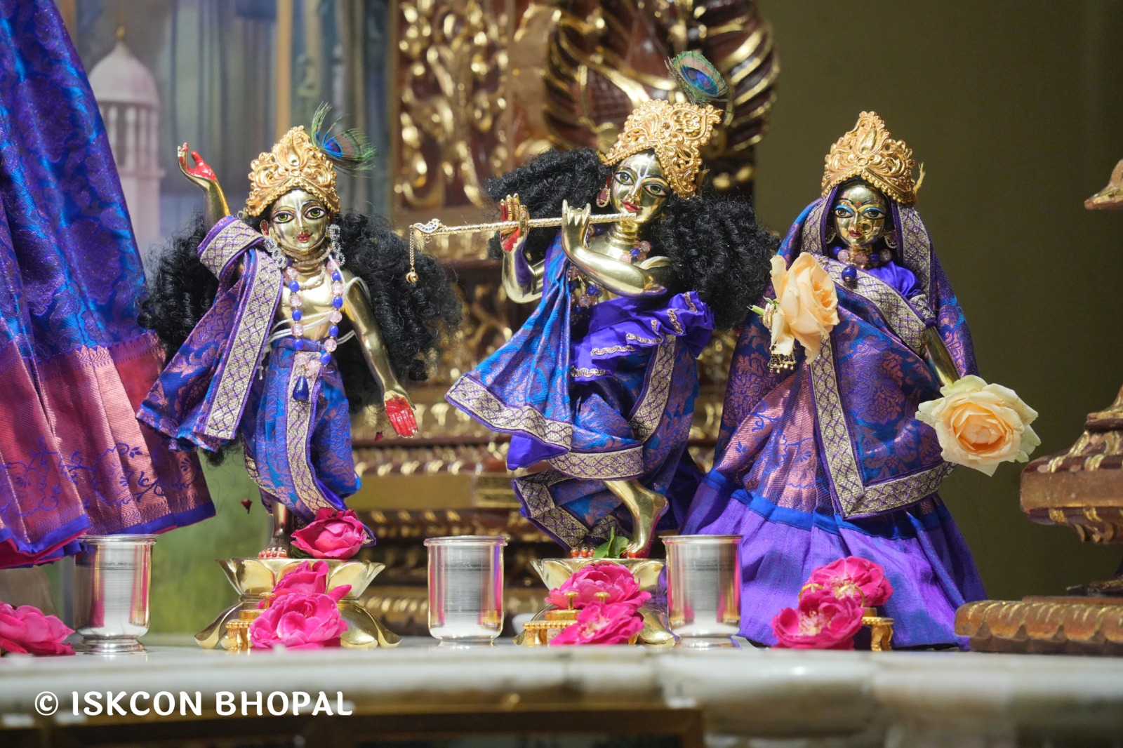 WhatsApp Image 2026-04-01 at 08.33.03