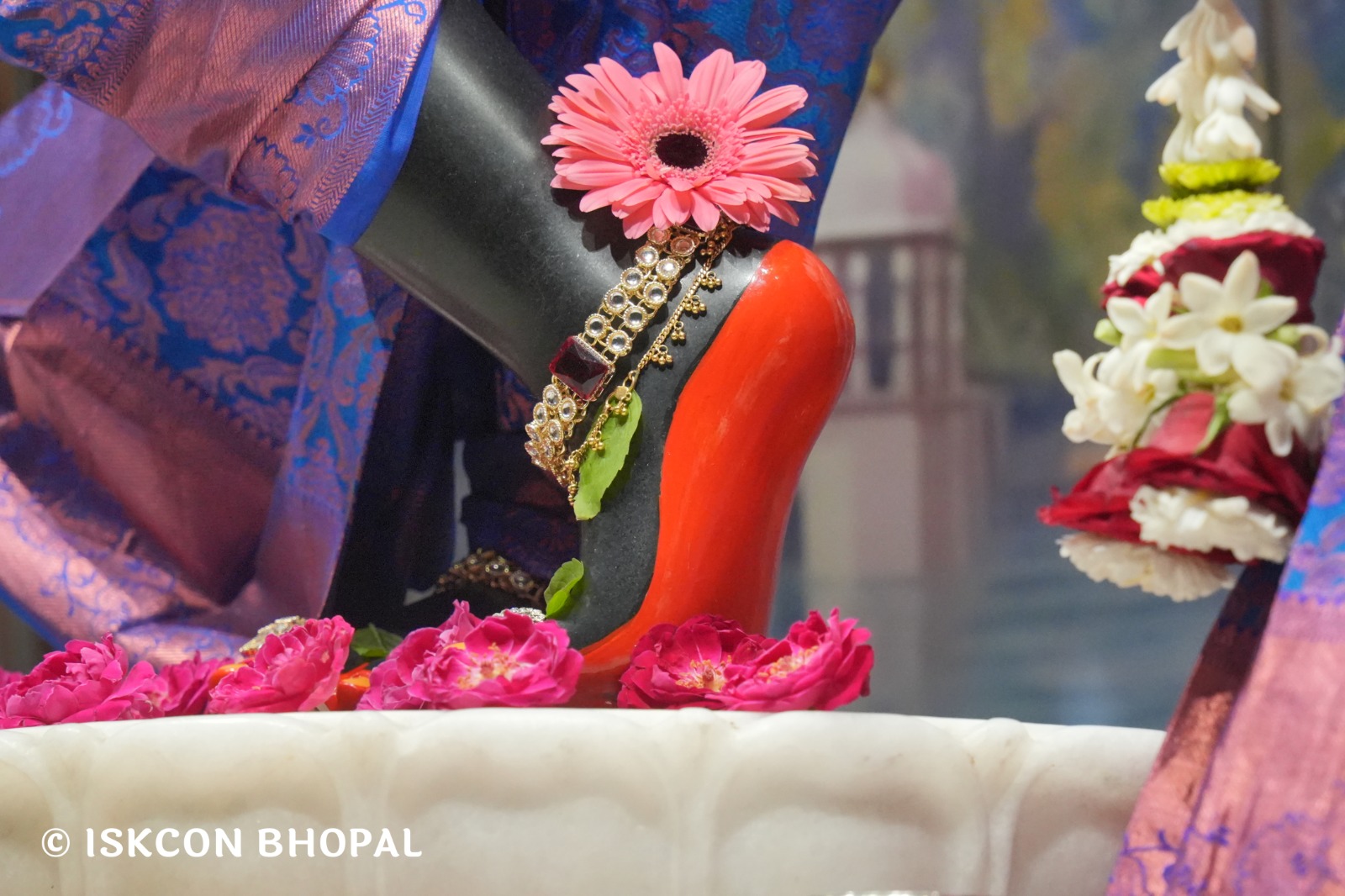 WhatsApp Image 2026-04-01 at 08.33.06