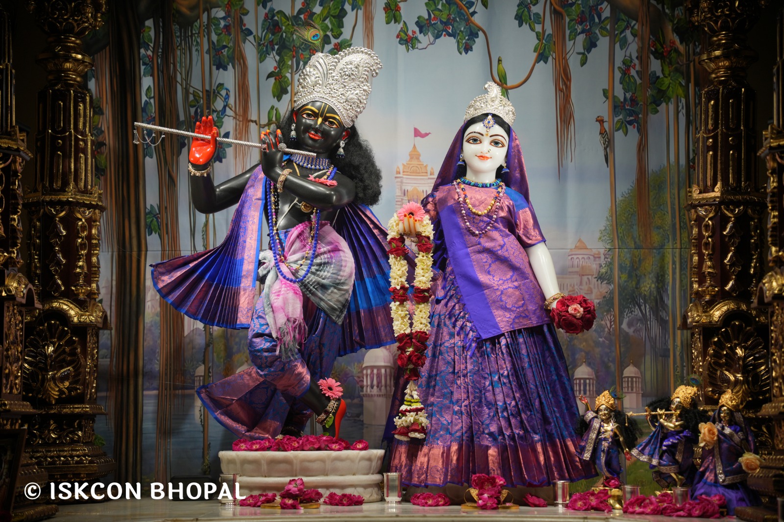 WhatsApp Image 2026-04-01 at 08.33.28