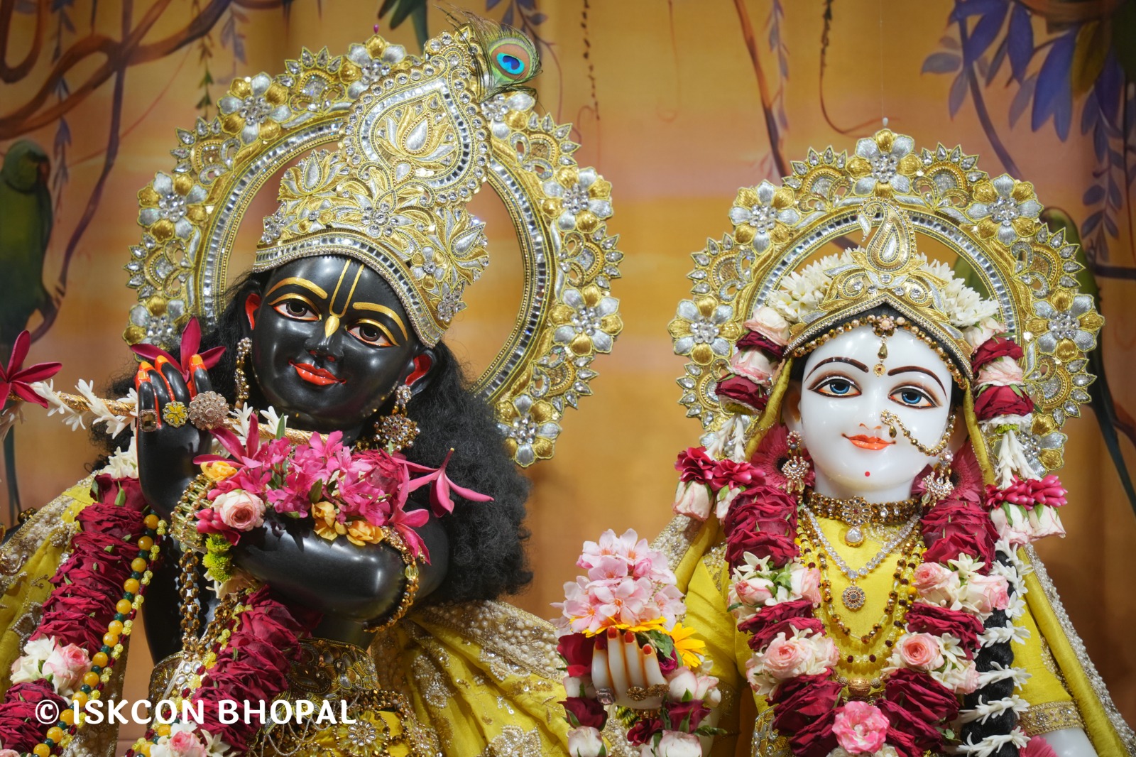 WhatsApp Image 2026-04-01 at 08.35.29