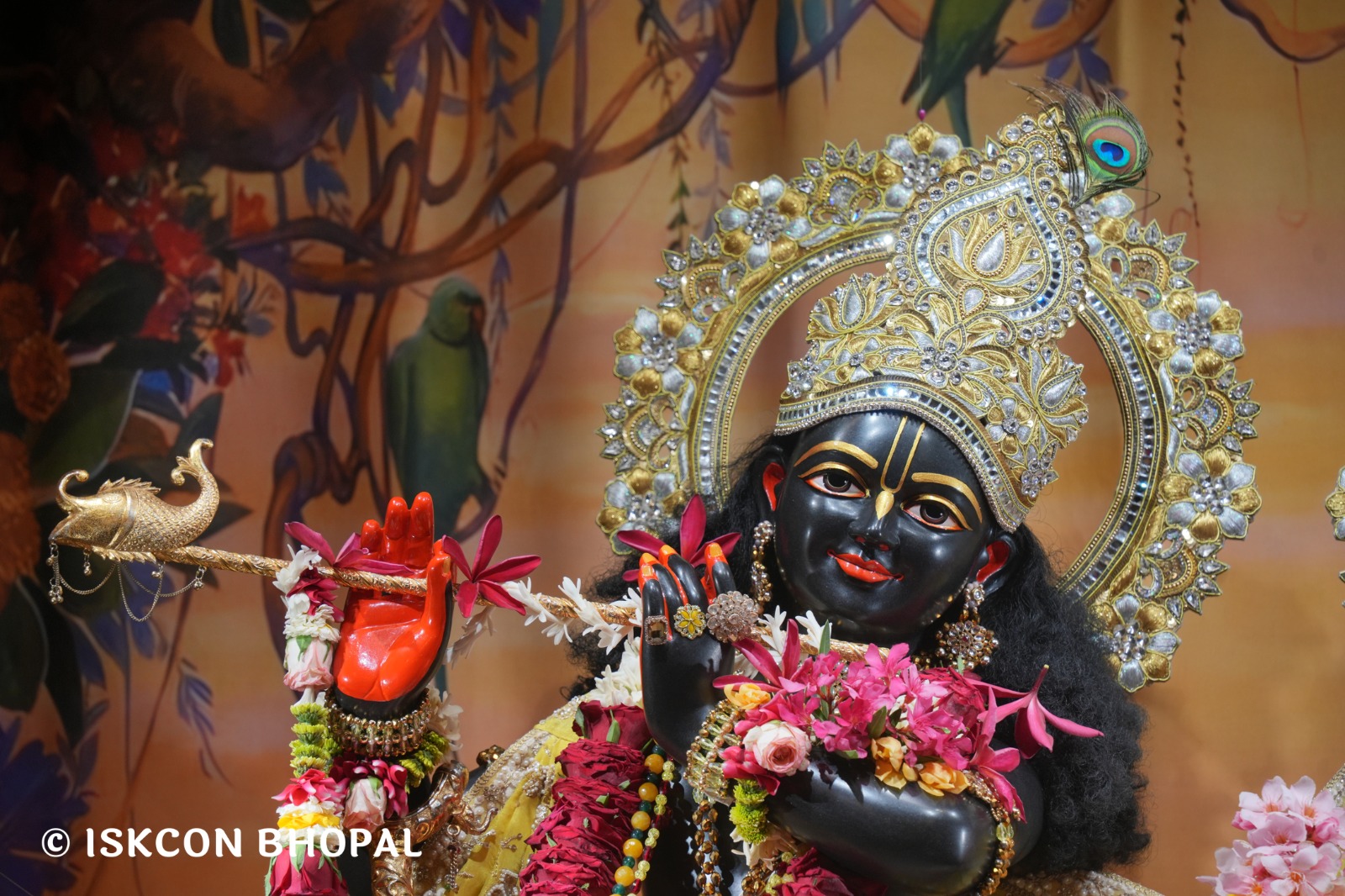 WhatsApp Image 2026-04-01 at 08.35.31