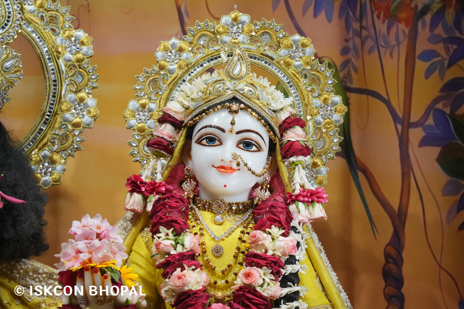 WhatsApp Image 2026-04-01 at 08.35.33