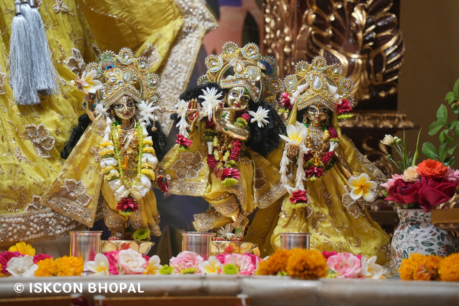 WhatsApp Image 2026-04-01 at 08.35.35