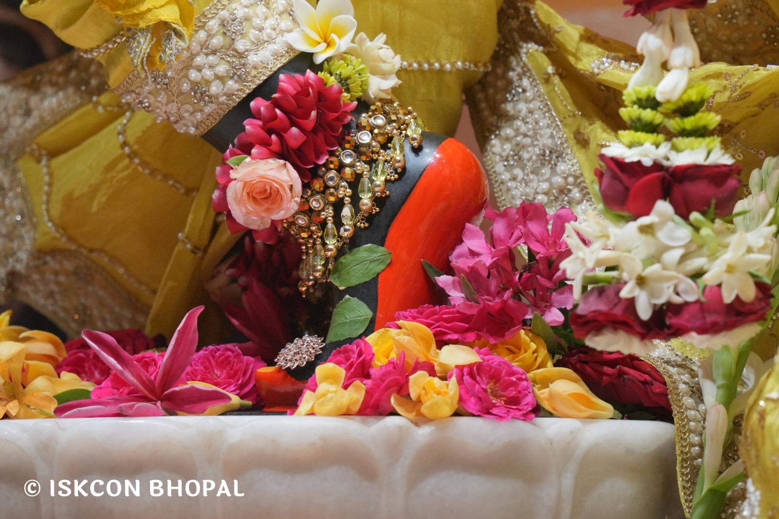 WhatsApp Image 2026-04-01 at 08.35.36