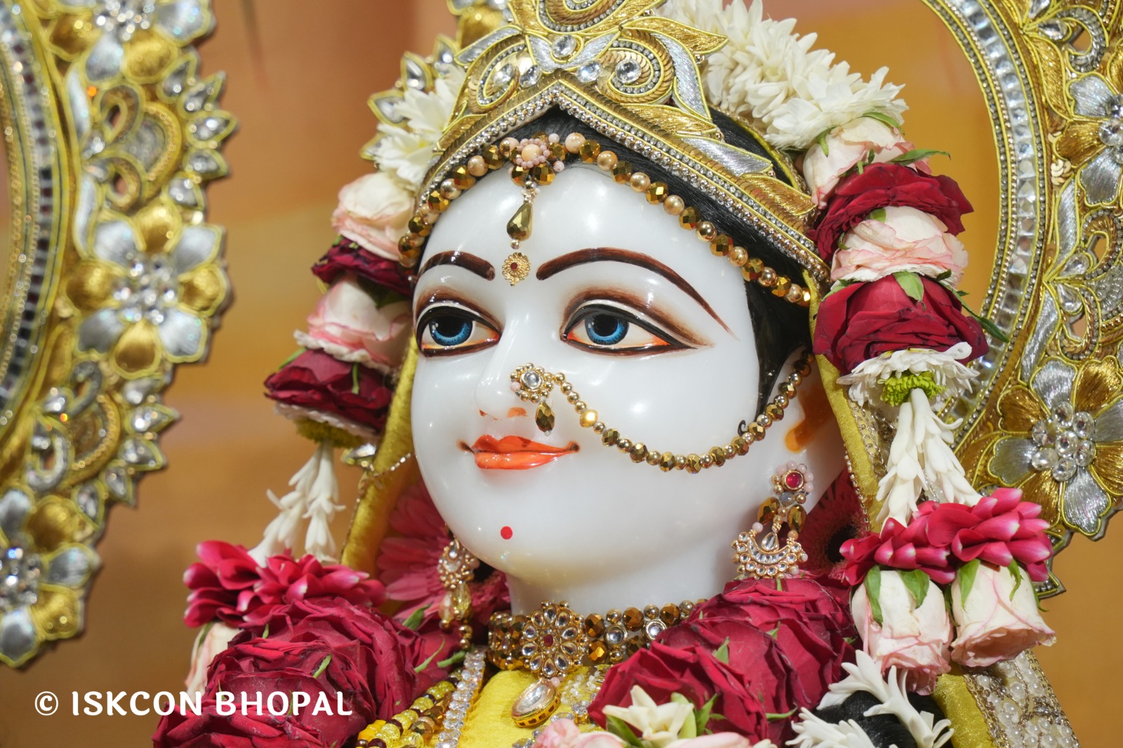 WhatsApp Image 2026-04-01 at 08.35.42