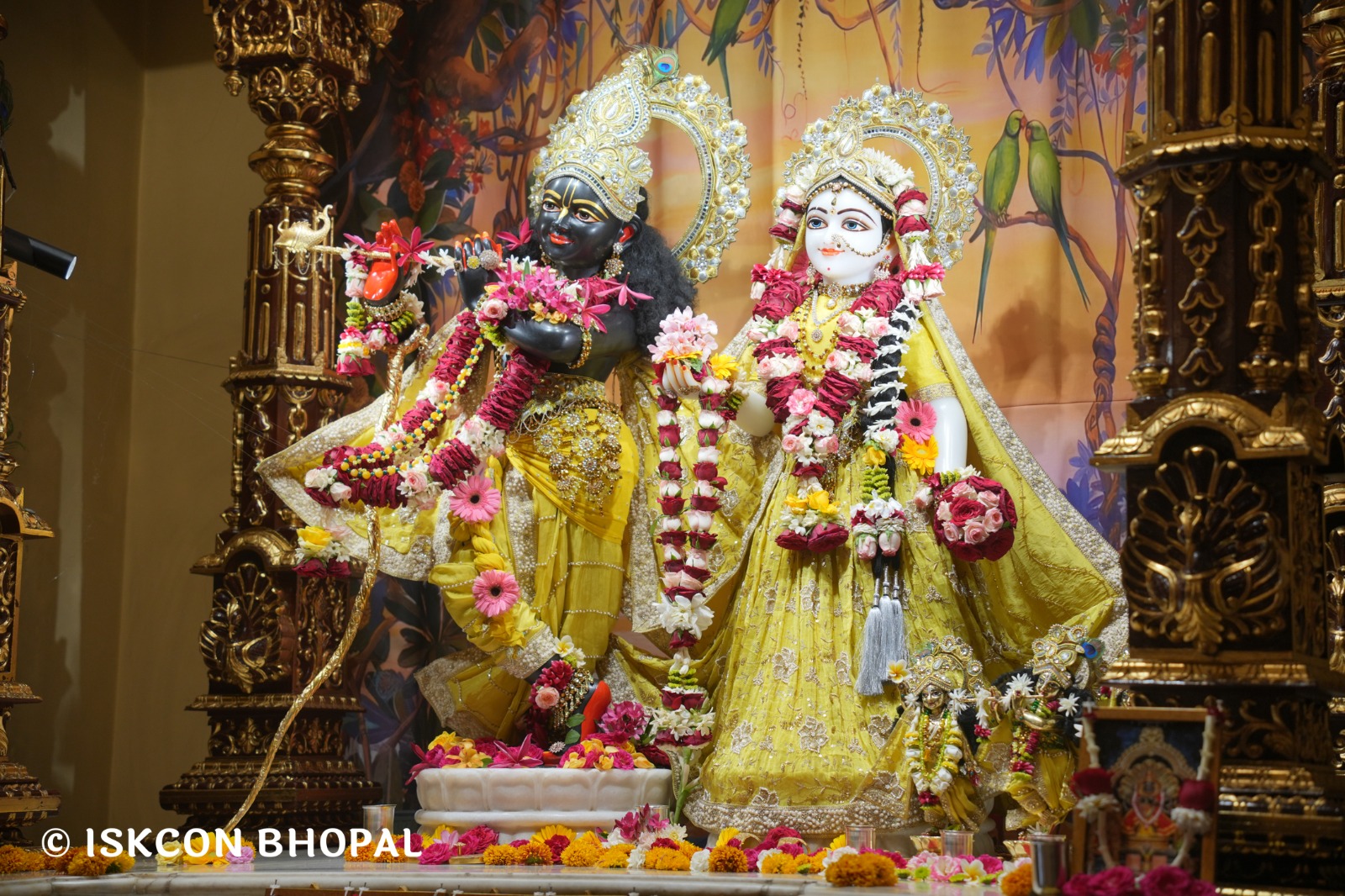 WhatsApp Image 2026-04-01 at 08.35.44