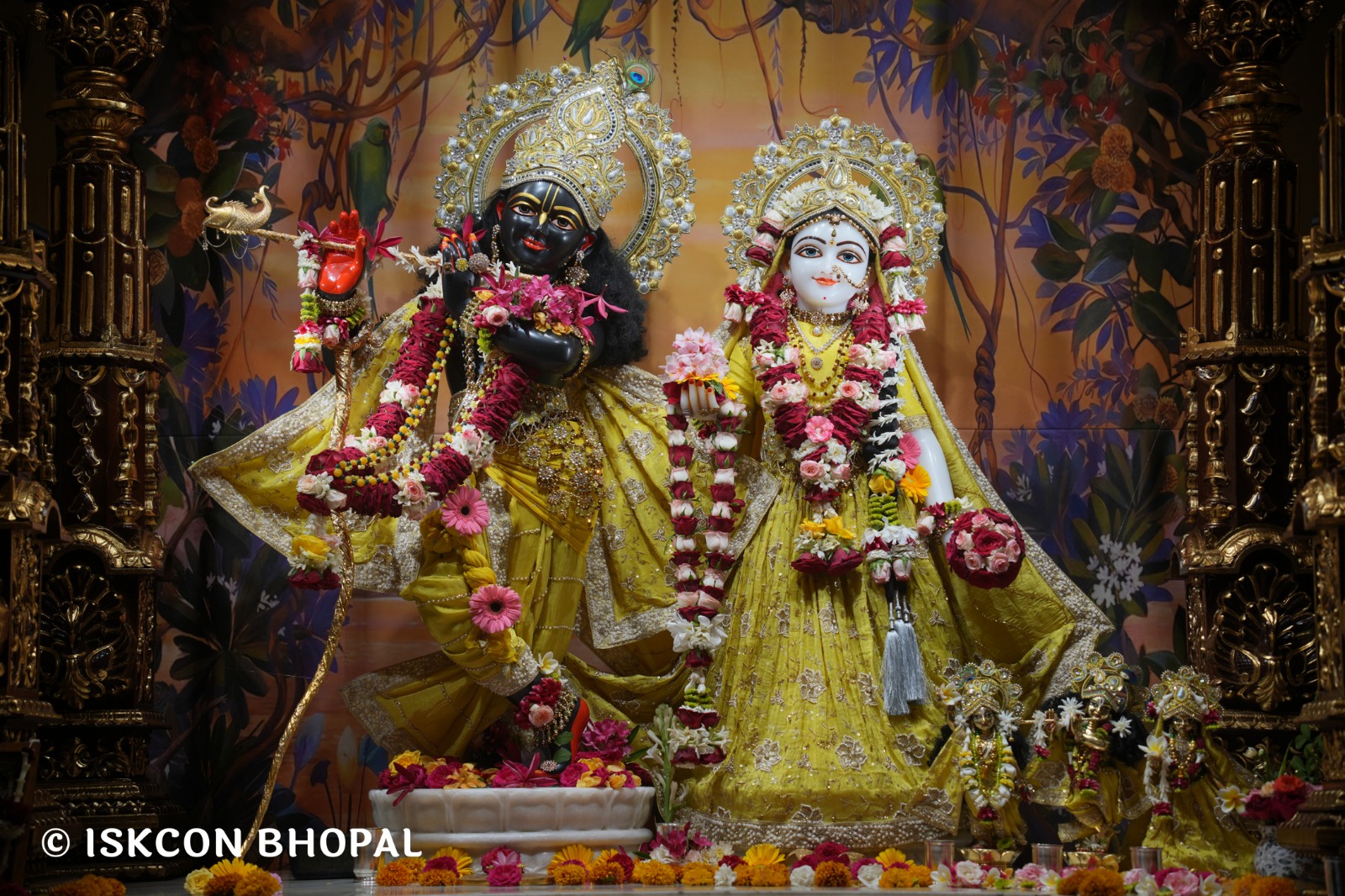 WhatsApp Image 2026-04-01 at 08.35.58