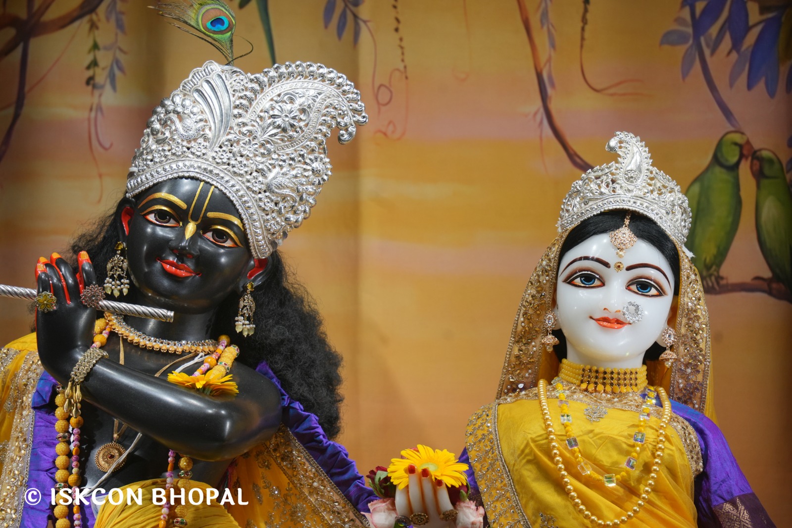 WhatsApp Image 2026-04-02 at 09.09.18