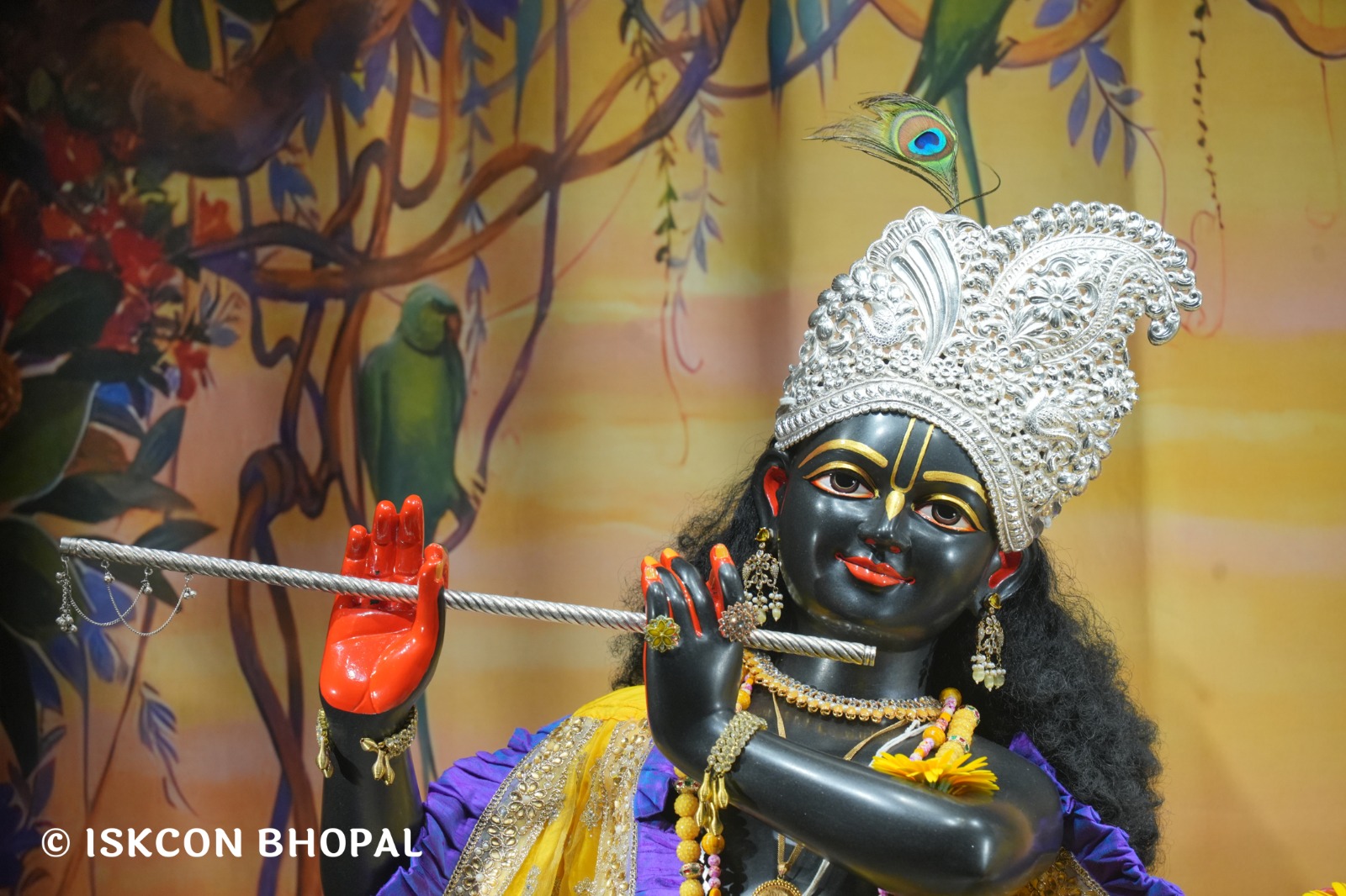 WhatsApp Image 2026-04-02 at 09.09.20