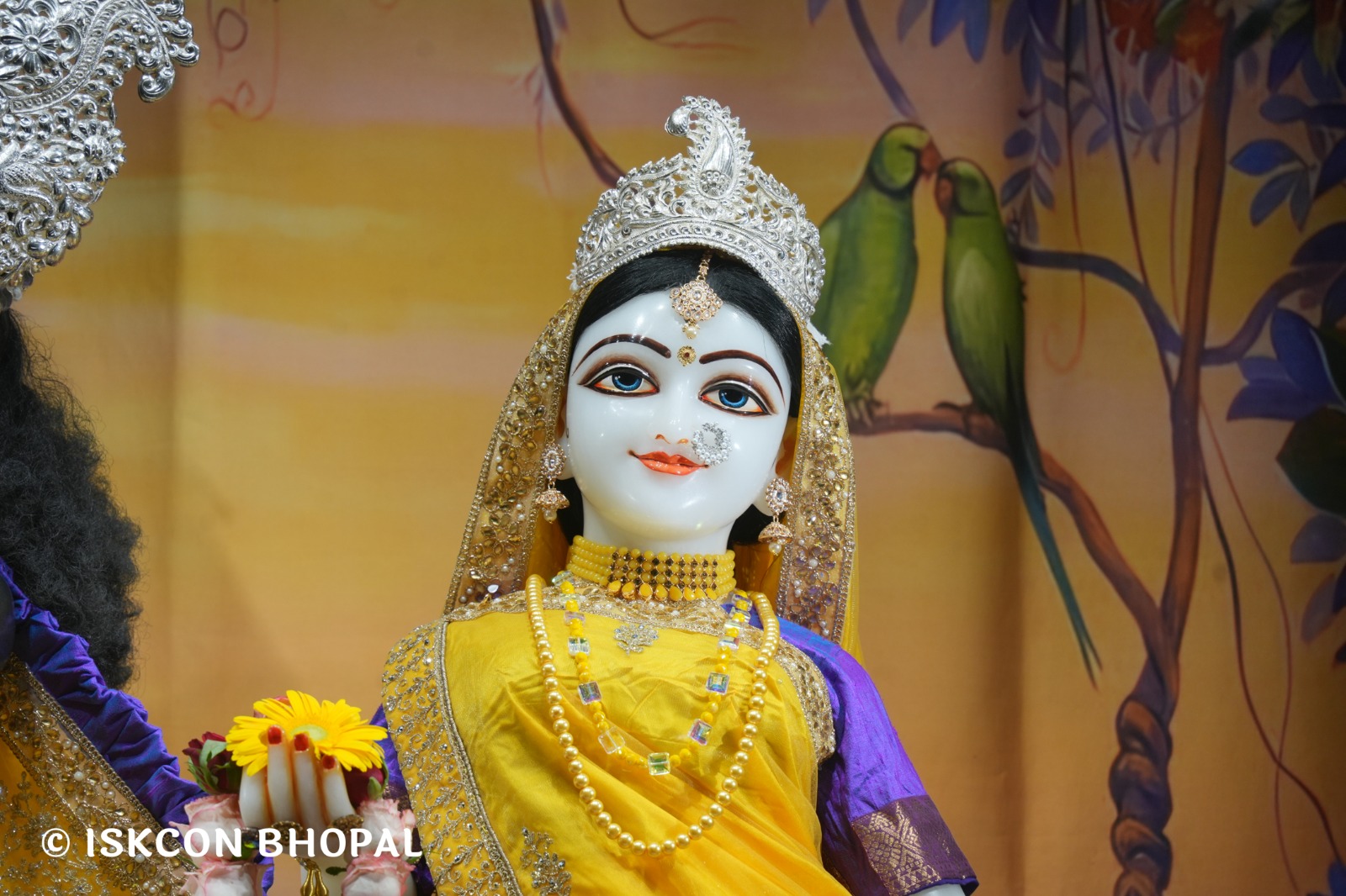 WhatsApp Image 2026-04-02 at 09.09.23