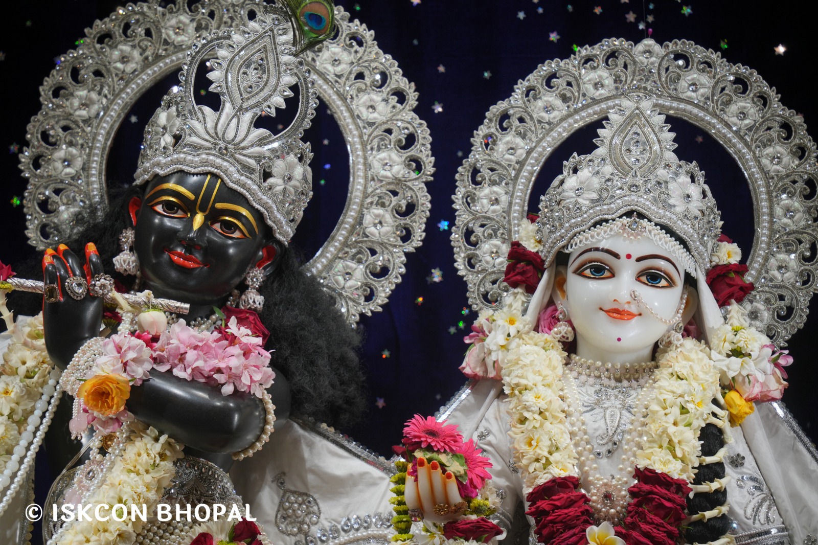 WhatsApp Image 2026-04-02 at 09.13.53