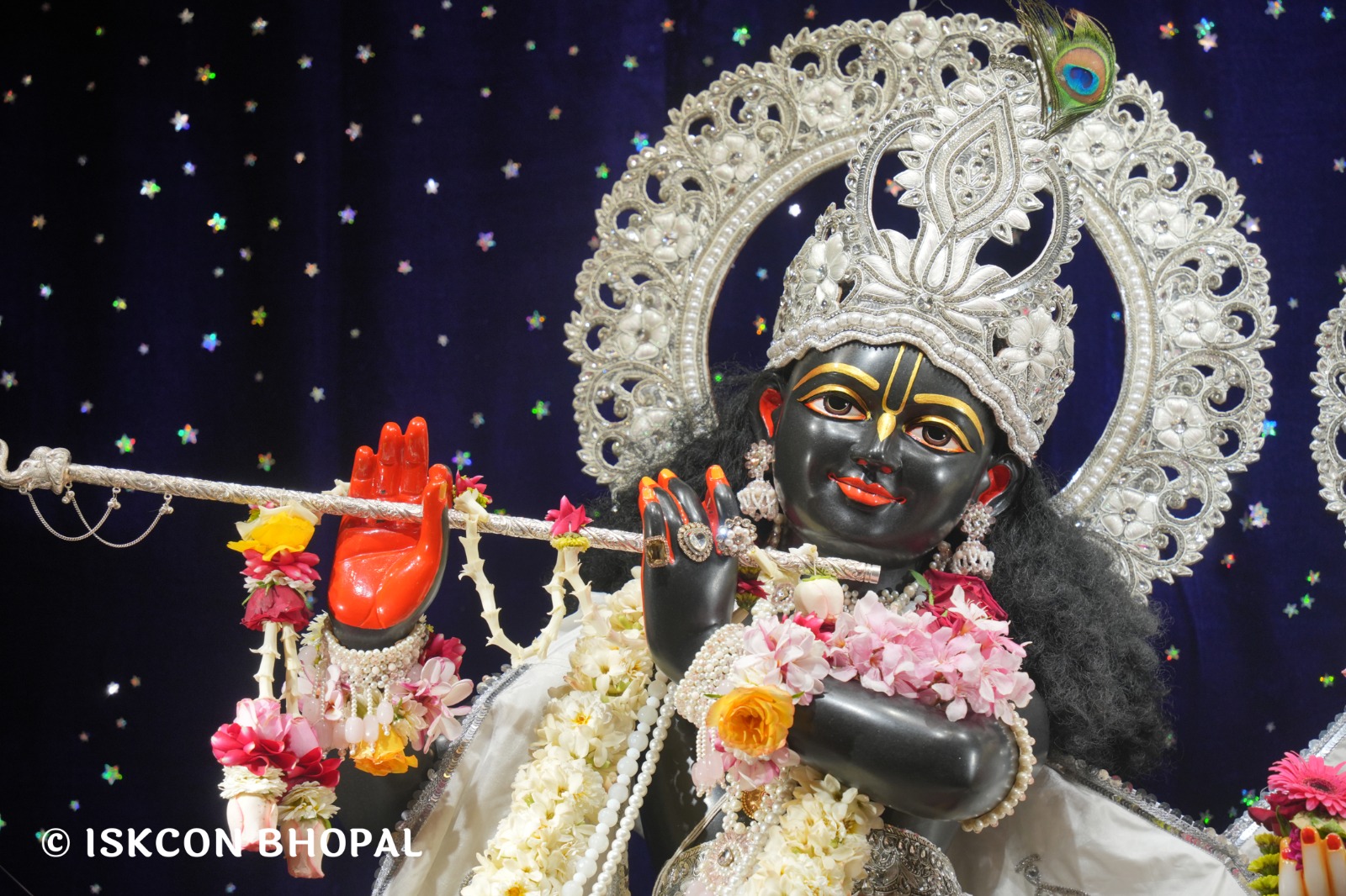 WhatsApp Image 2026-04-02 at 09.13.59