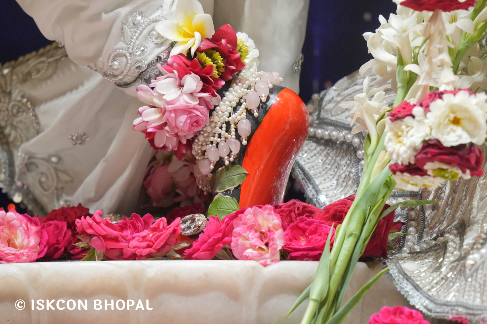 WhatsApp Image 2026-04-02 at 09.14.02