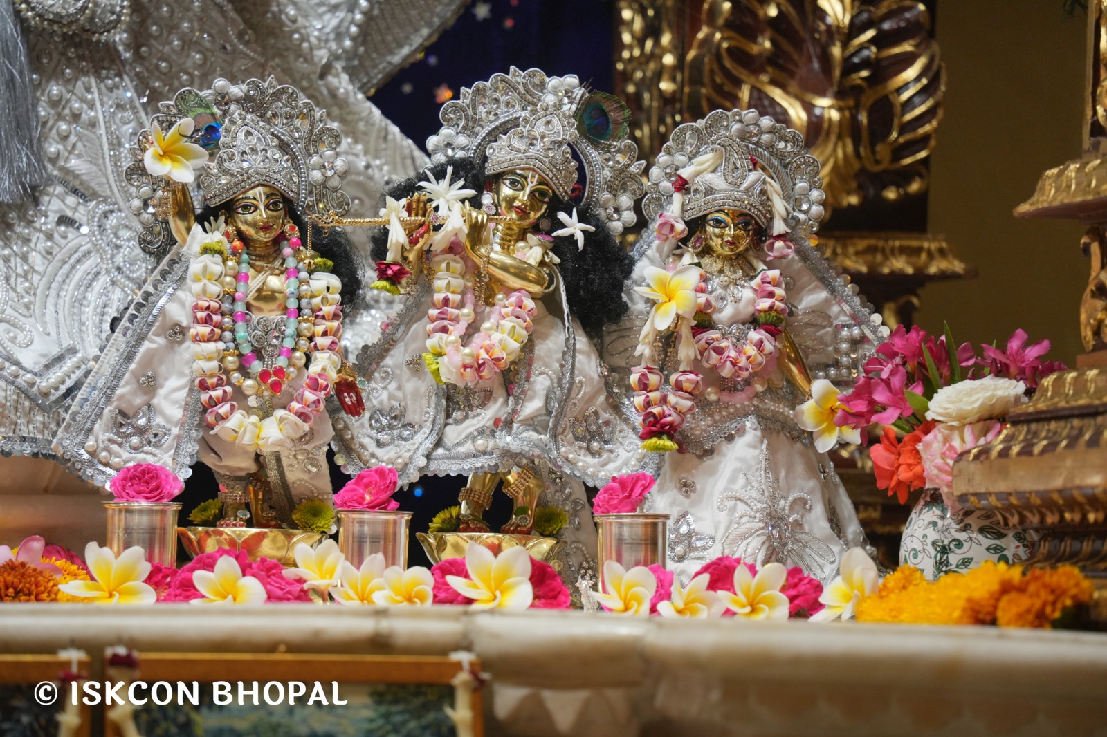 WhatsApp Image 2026-04-02 at 09.14.04