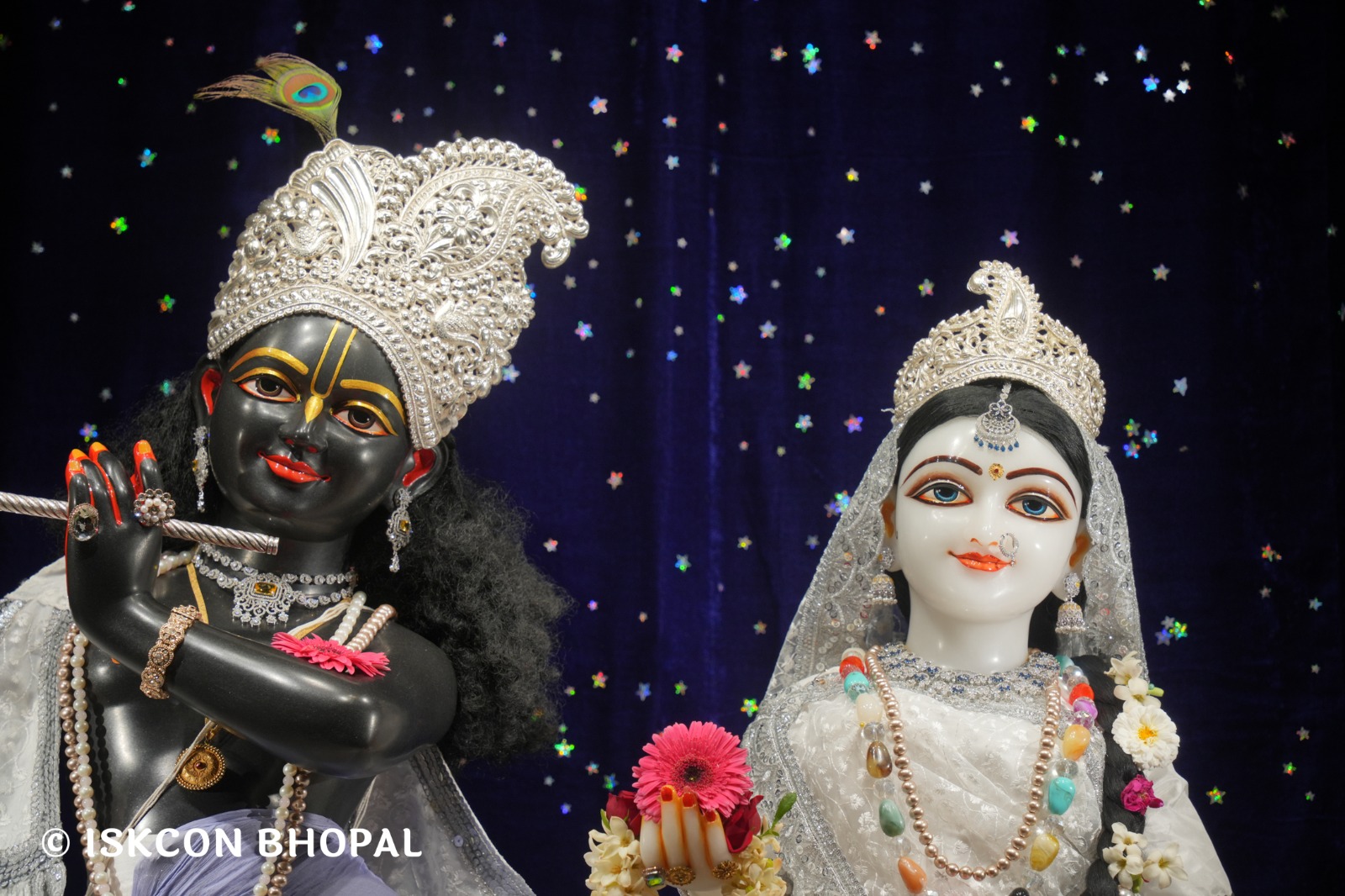 WhatsApp Image 2026-04-03 at 08.04.52