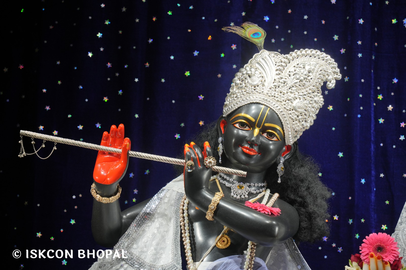 WhatsApp Image 2026-04-03 at 08.04.55