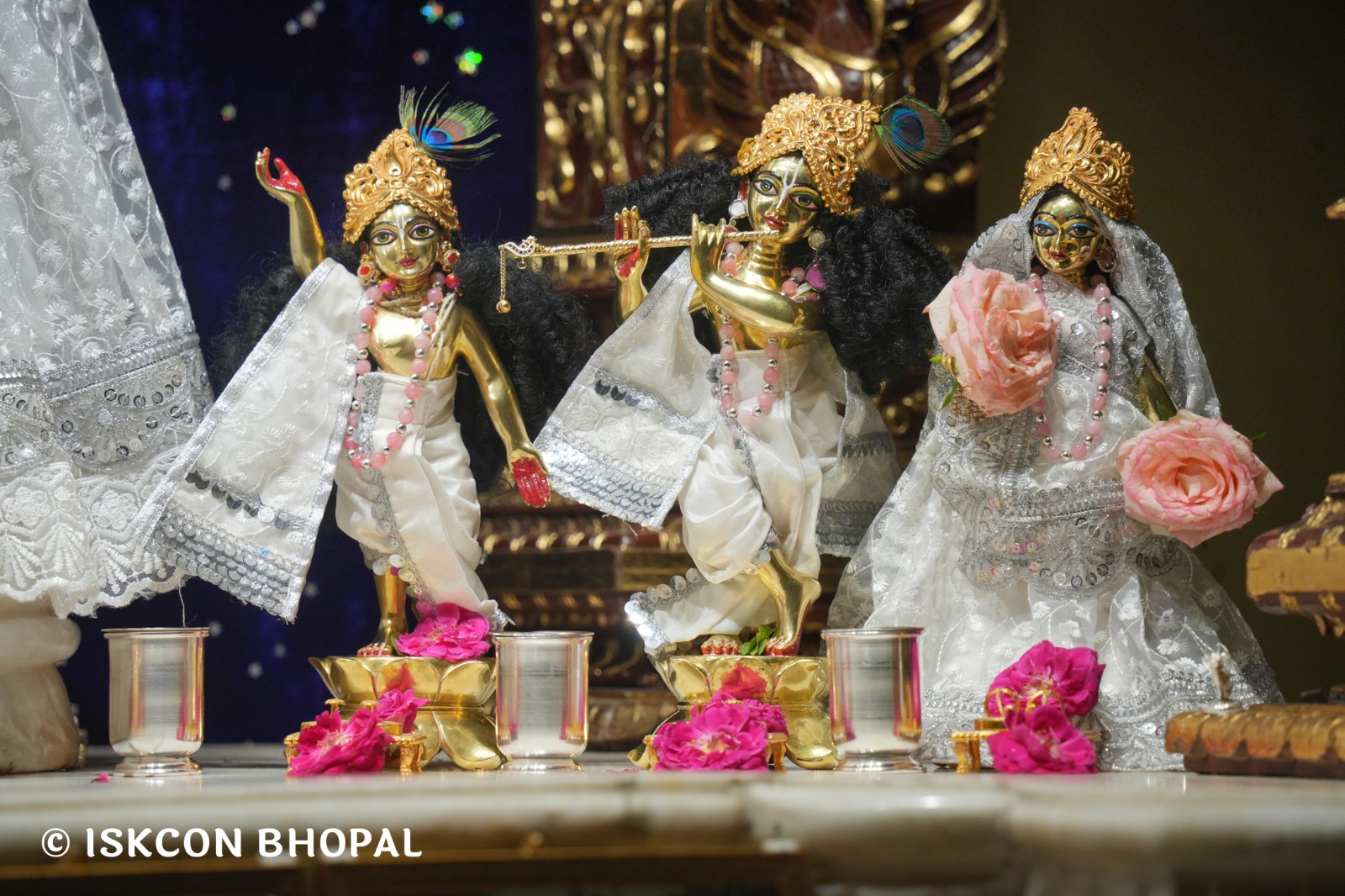 WhatsApp Image 2026-04-03 at 08.05.01