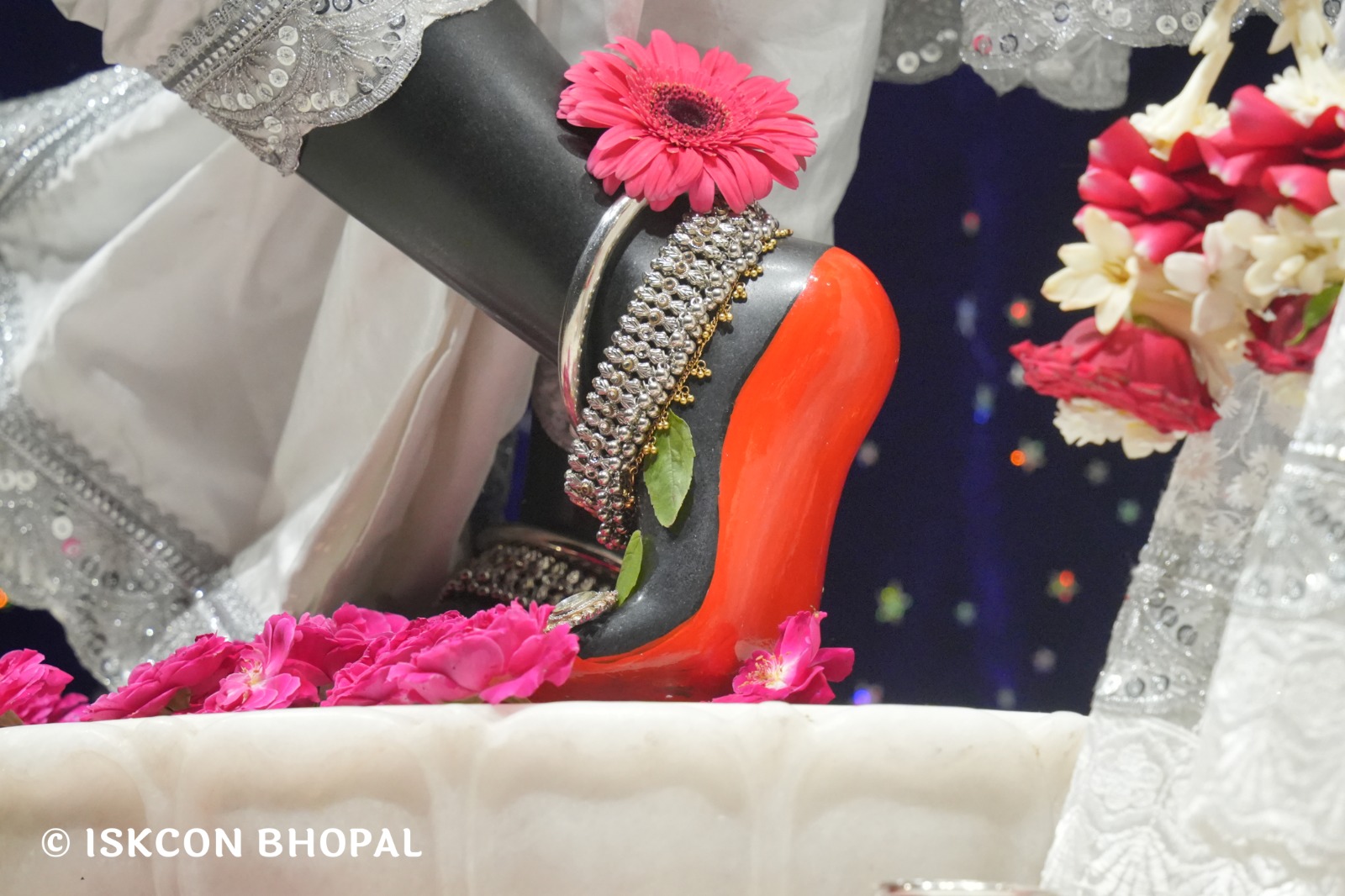 WhatsApp Image 2026-04-03 at 08.05.09