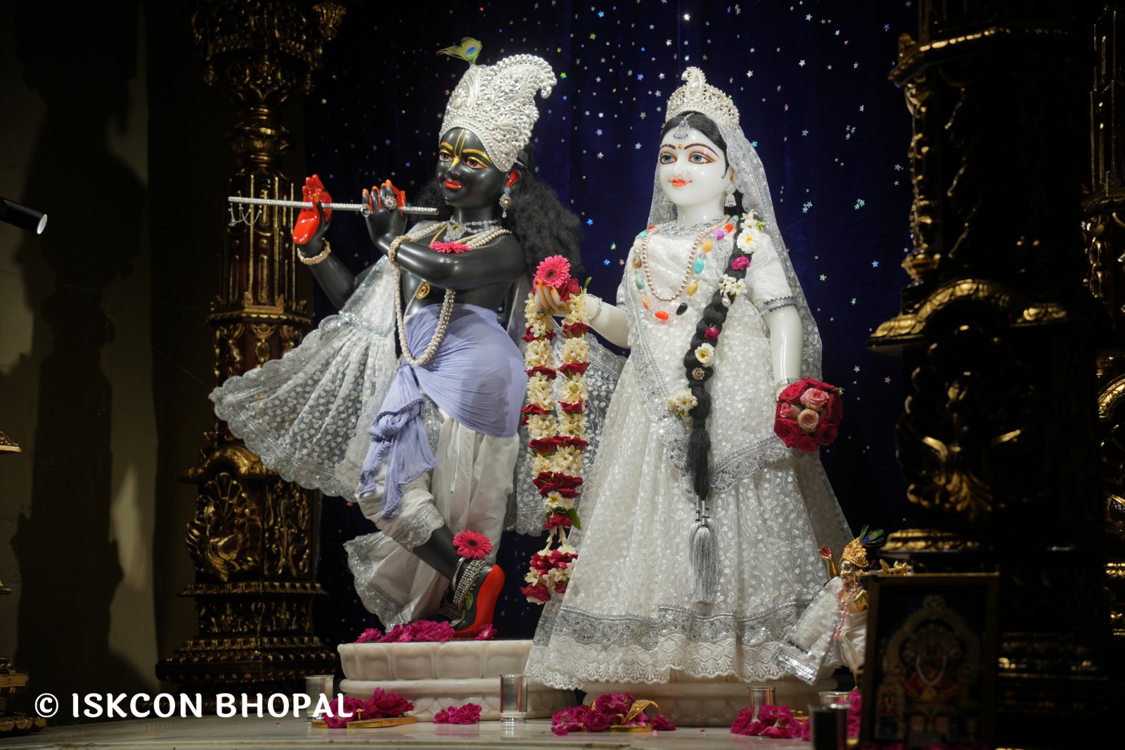 WhatsApp Image 2026-04-03 at 08.05.15