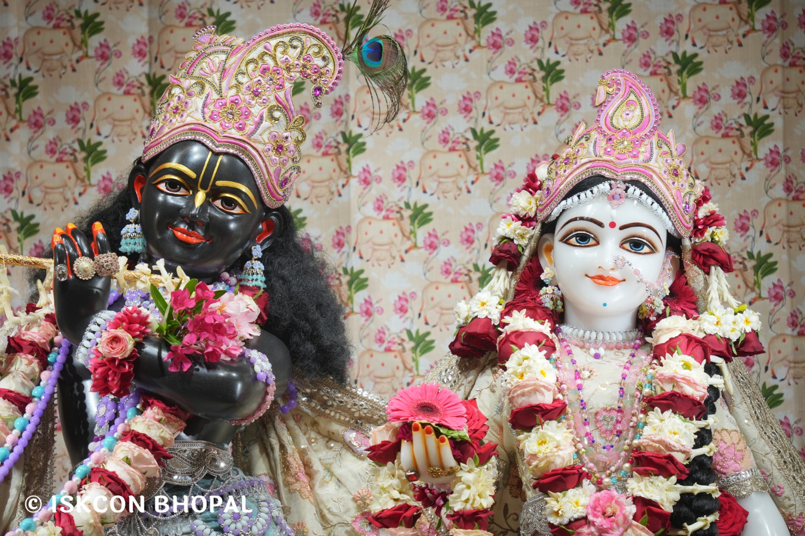 WhatsApp Image 2026-04-03 at 08.06.35