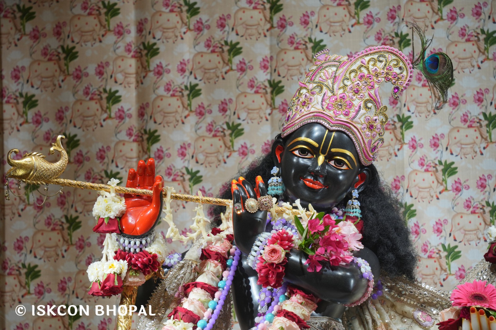 WhatsApp Image 2026-04-03 at 08.06.37