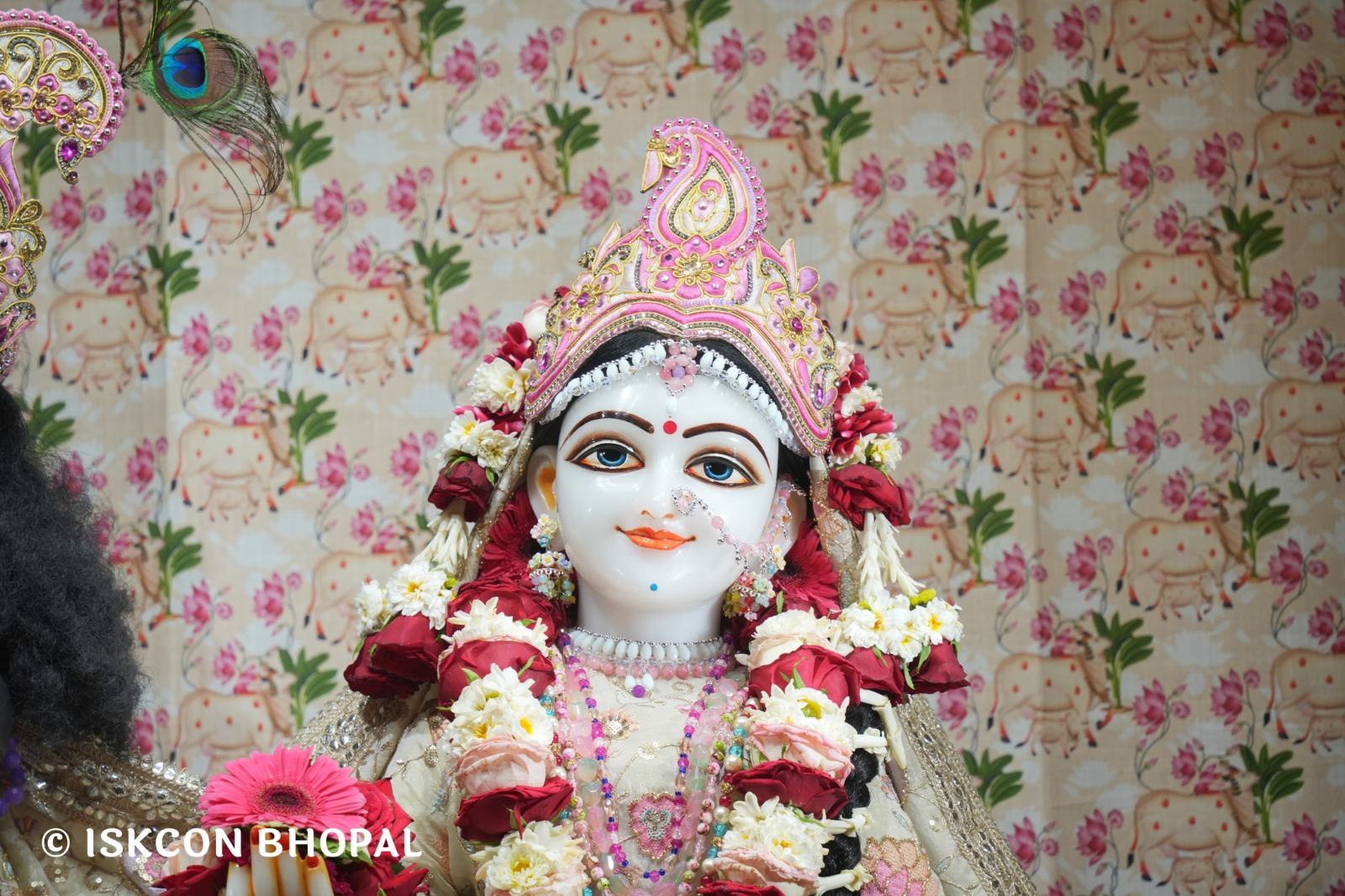 WhatsApp Image 2026-04-03 at 08.06.40