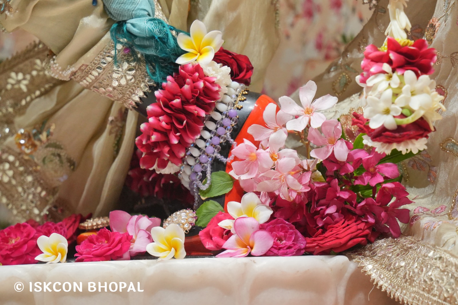 WhatsApp Image 2026-04-03 at 08.06.43