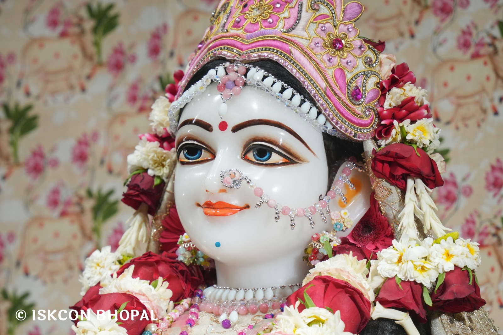 WhatsApp Image 2026-04-03 at 08.06.47