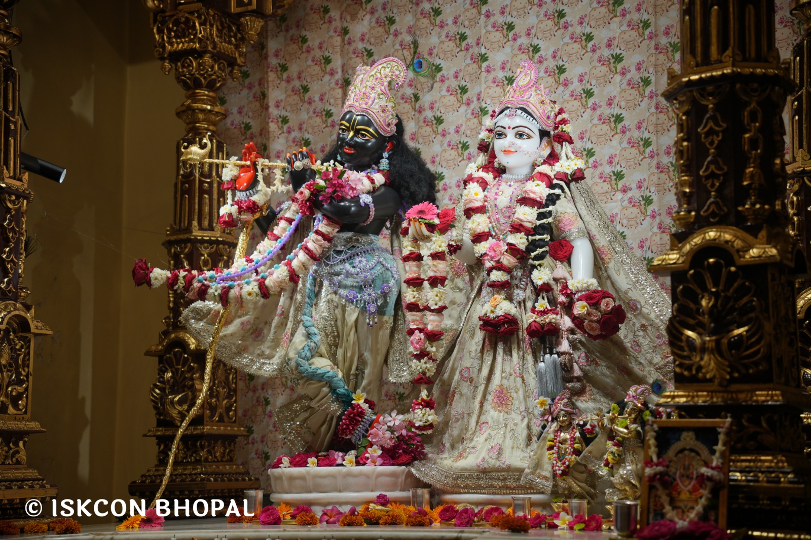 WhatsApp Image 2026-04-03 at 08.06.54