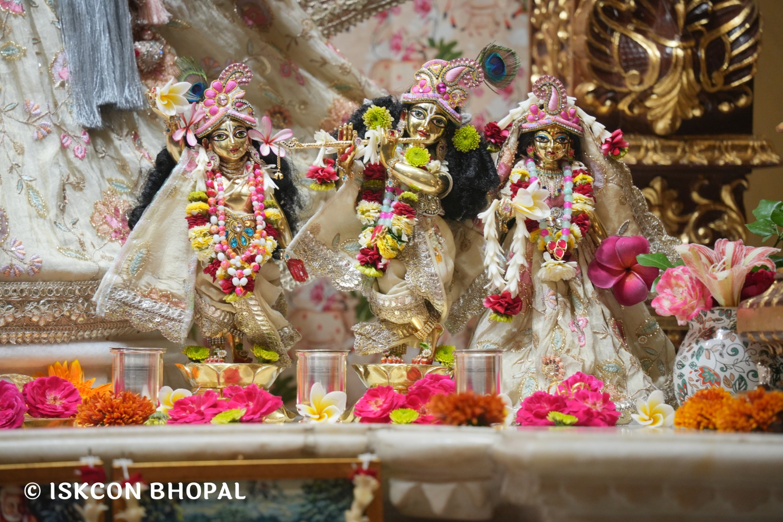 WhatsApp Image 2026-04-03 at 08.07.05