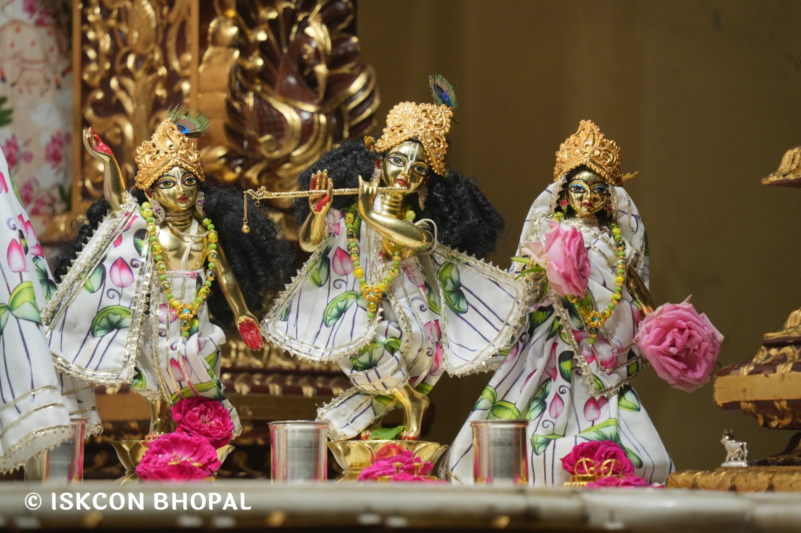 WhatsApp Image 2026-04-04 at 11.05.39